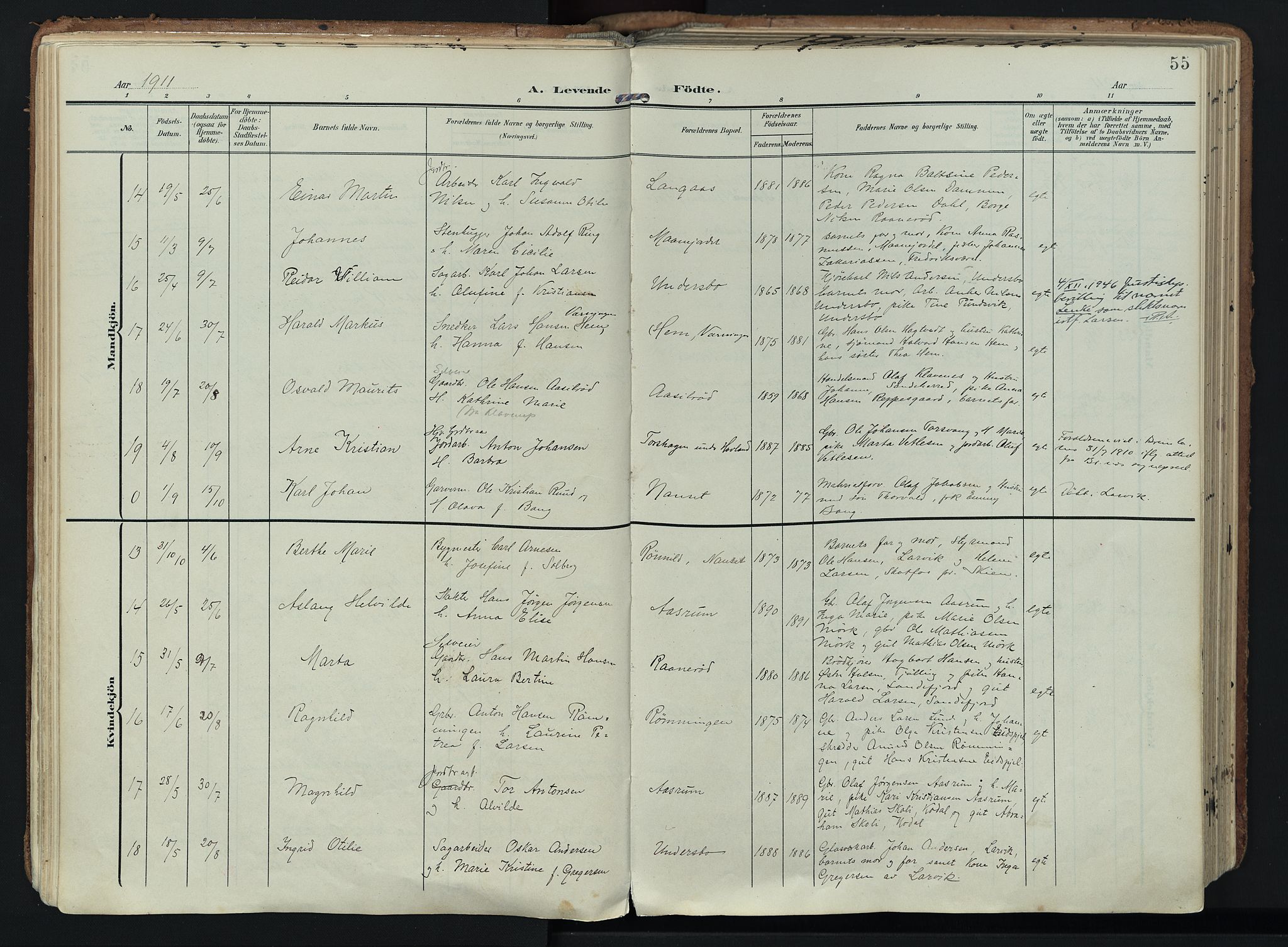 Hedrum kirkebøker, AV/SAKO-A-344/F/Fa/L0010: Ministerialbok nr. I 10, 1904-1918, s. 55