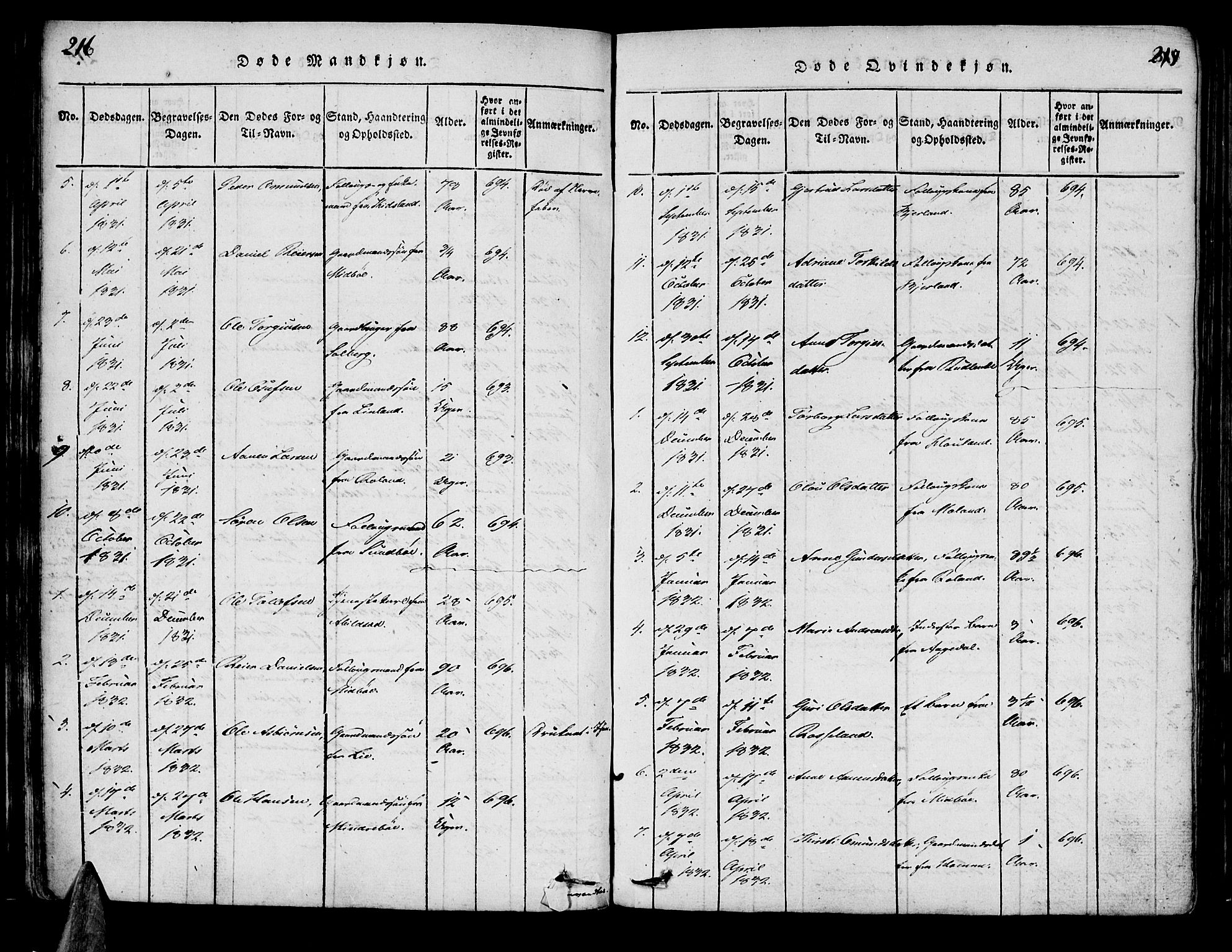 Bjelland sokneprestkontor, SAK/1111-0005/F/Fa/Faa/L0002: Ministerialbok nr. A 2, 1816-1866, s. 216-217