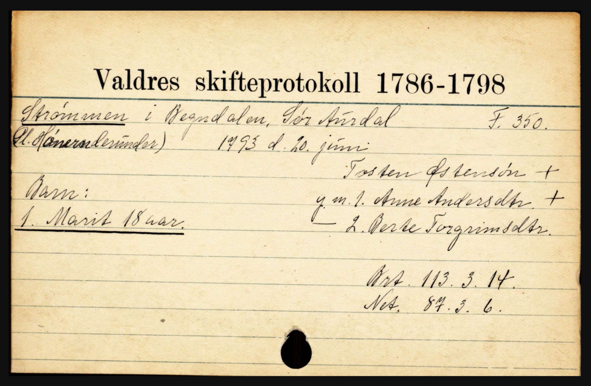 Valdres sorenskriveri, SAH/TING-016/J, 1659-1903, s. 13103