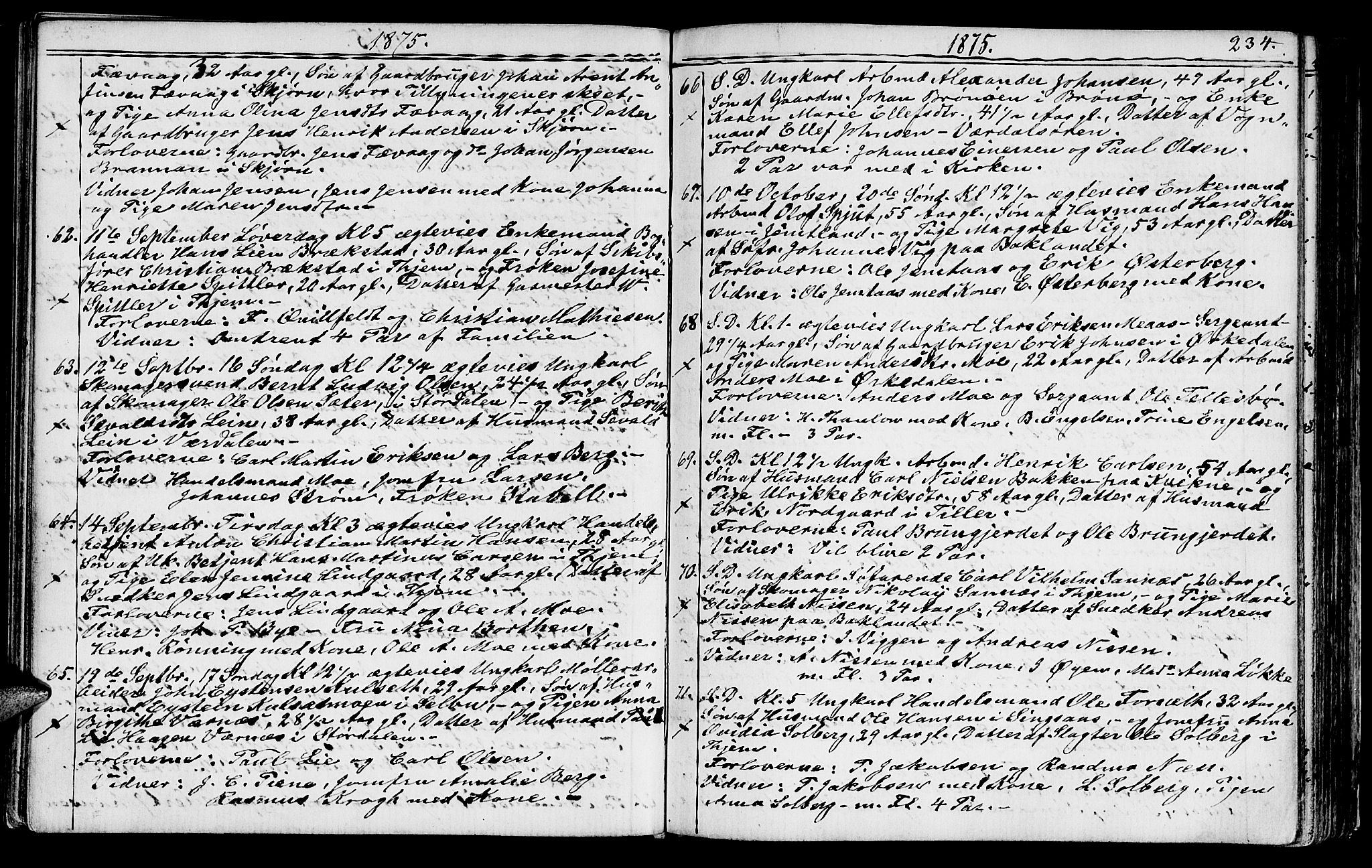 Ministerialprotokoller, klokkerbøker og fødselsregistre - Sør-Trøndelag, AV/SAT-A-1456/602/L0142: Klokkerbok nr. 602C10, 1872-1894, s. 234