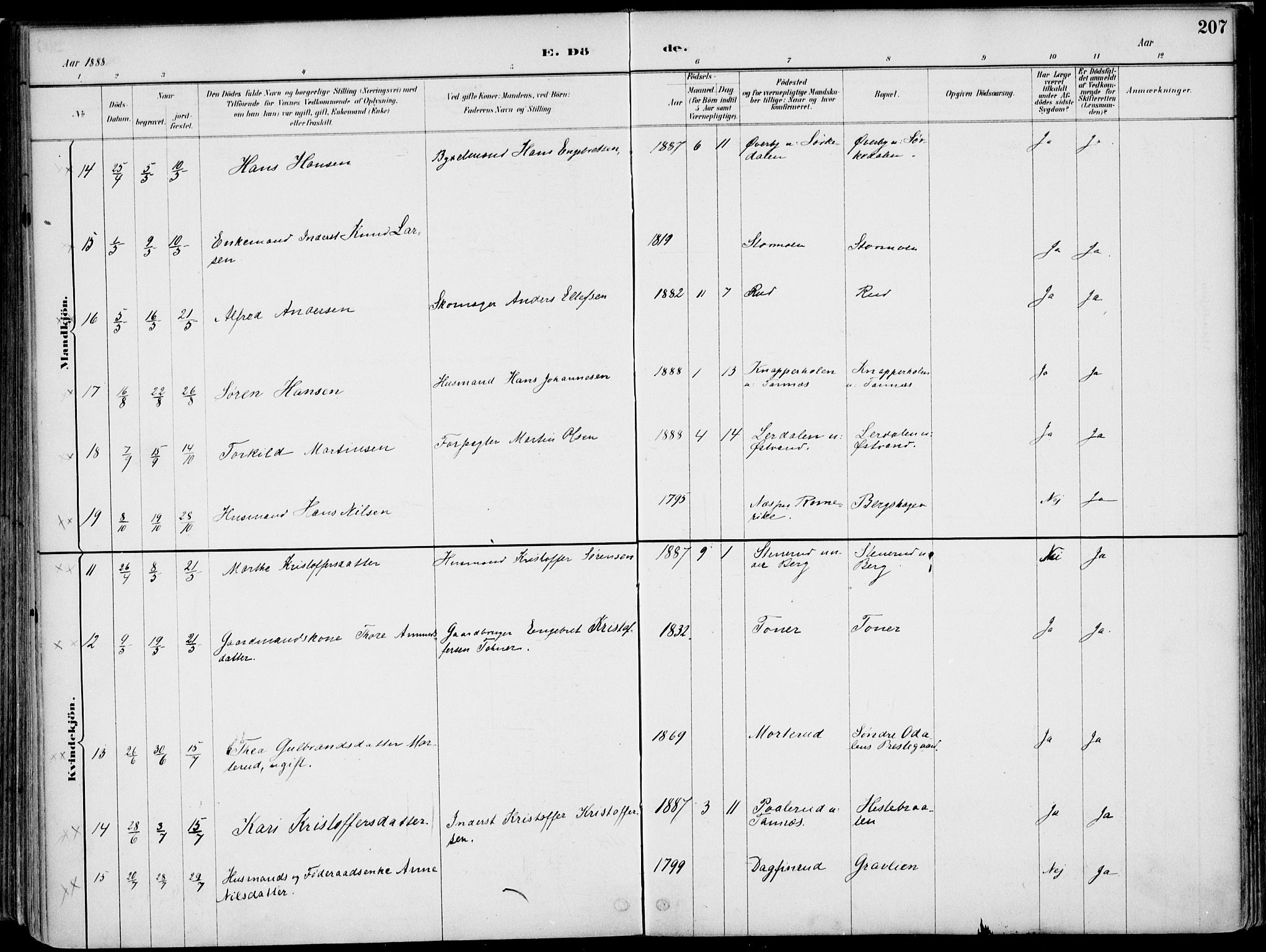 Nord-Odal prestekontor, AV/SAH-PREST-032/H/Ha/Haa/L0008: Ministerialbok nr. 8, 1886-1901, s. 207