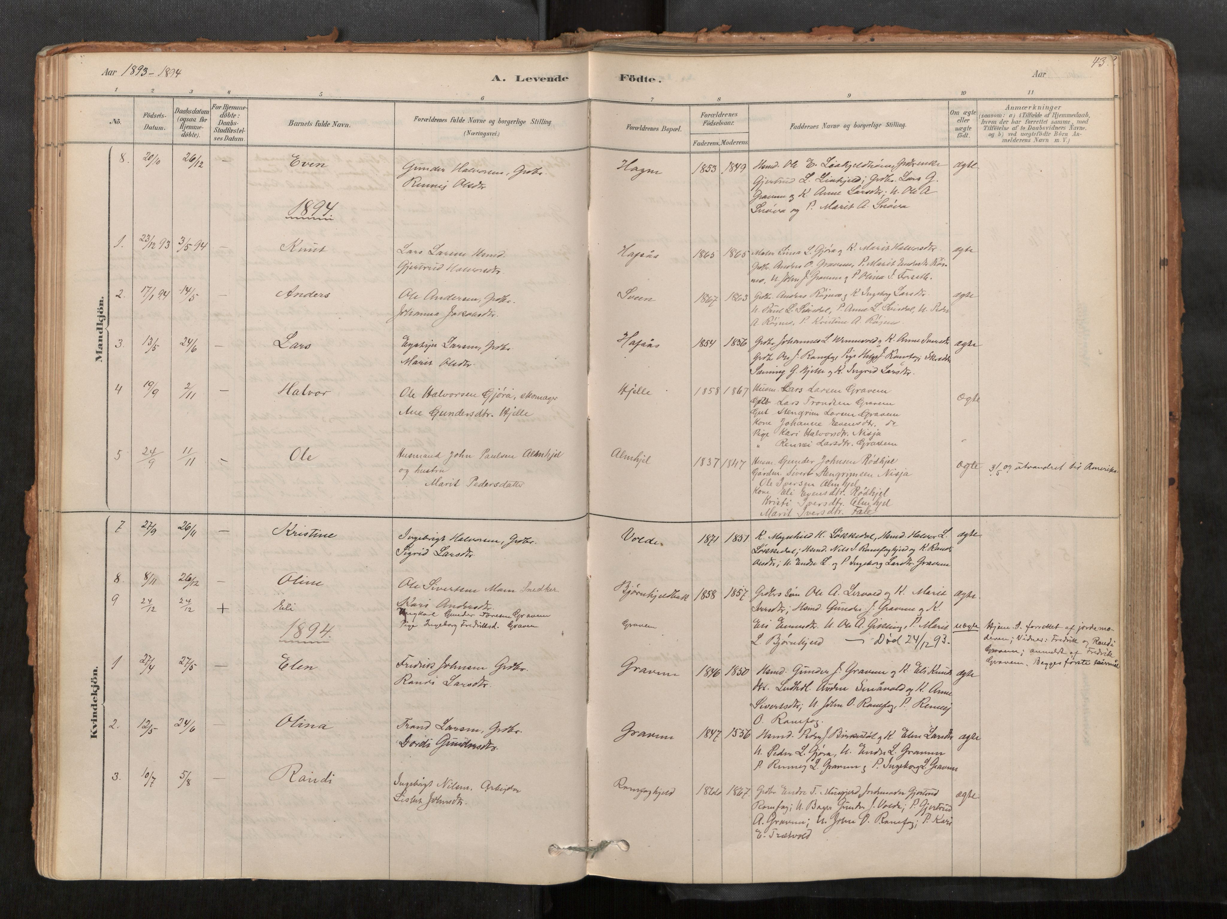 Sunndal sokneprestkontor, SAT/A-1085/1/I/I1/I1a/L0001: Ministerialbok nr. 1, 1877-1914, s. 43