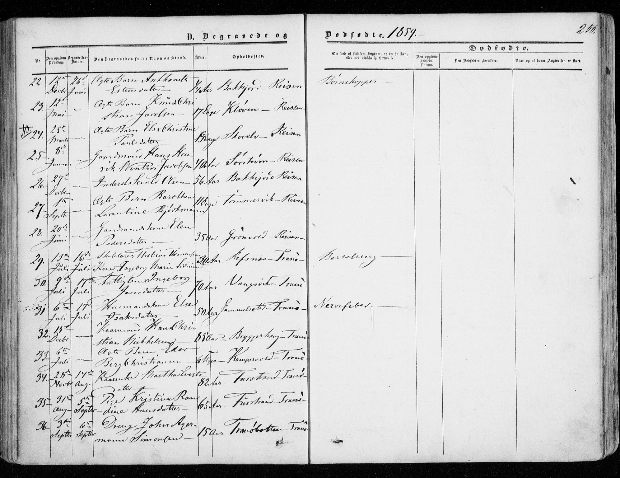 Tranøy sokneprestkontor, AV/SATØ-S-1313/I/Ia/Iaa/L0007kirke: Ministerialbok nr. 7, 1856-1866, s. 256