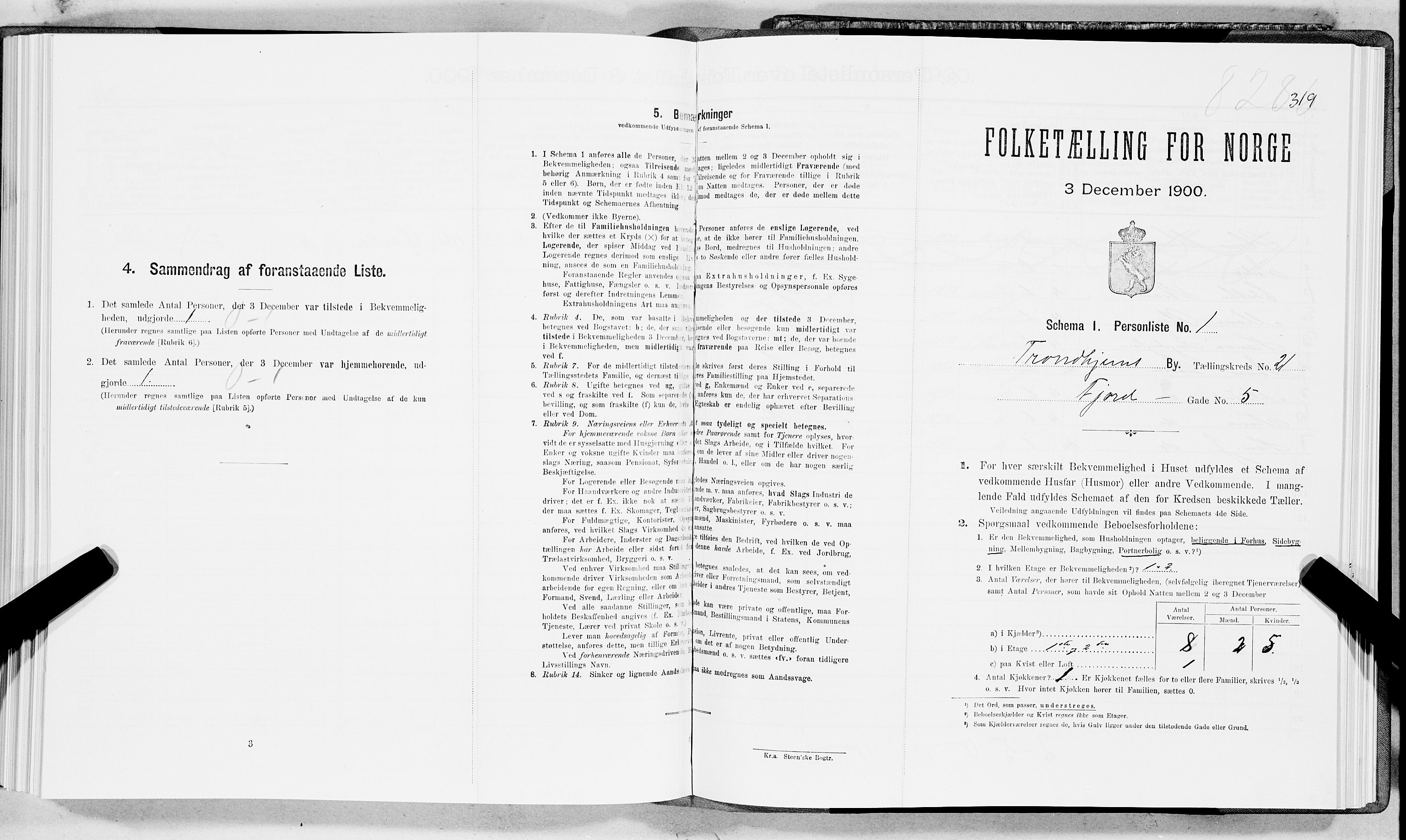 SAT, Folketelling 1900 for 1601 Trondheim kjøpstad, 1900, s. 3384