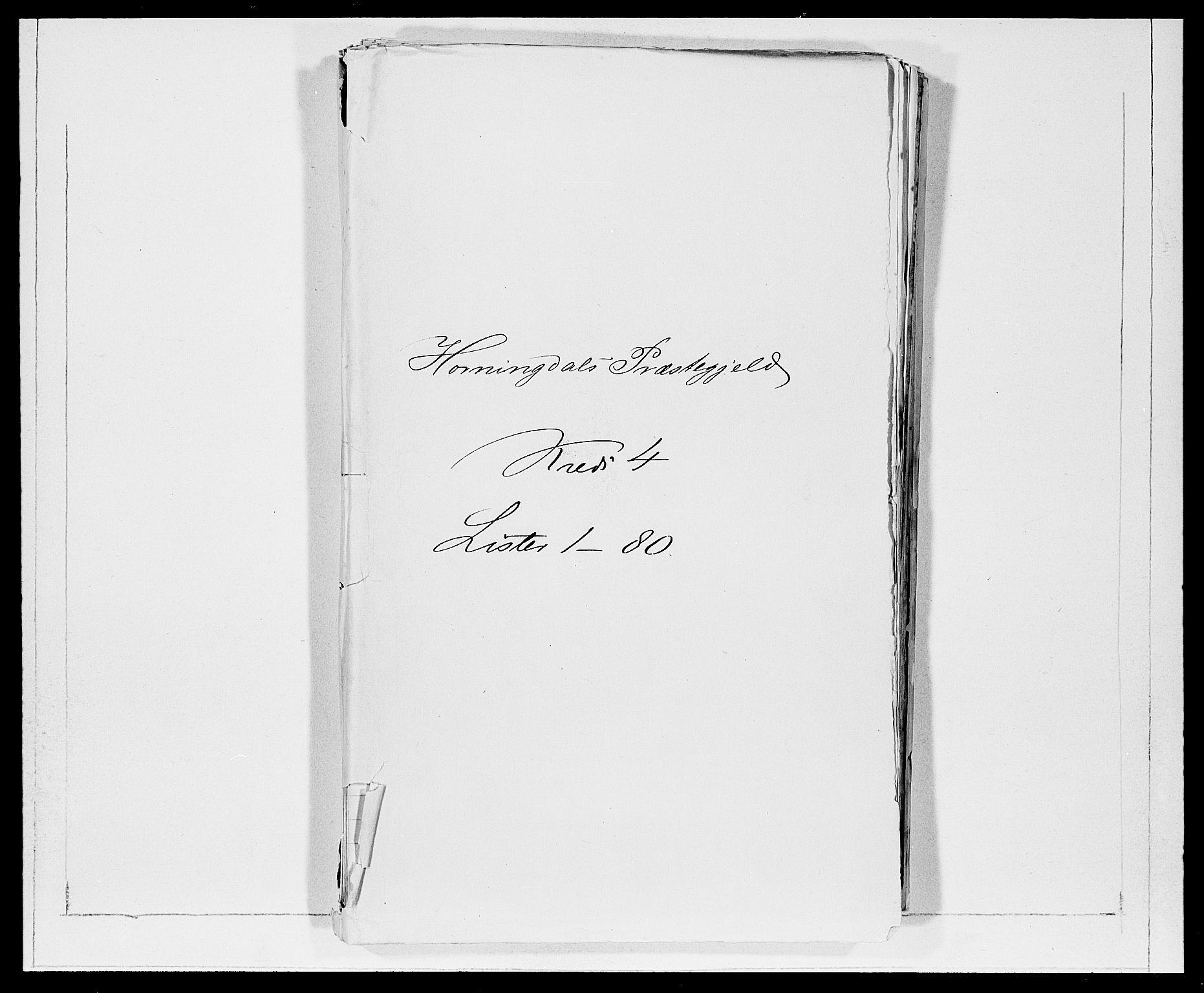 SAB, Folketelling 1875 for 1444P Hornindal prestegjeld, 1875, s. 388