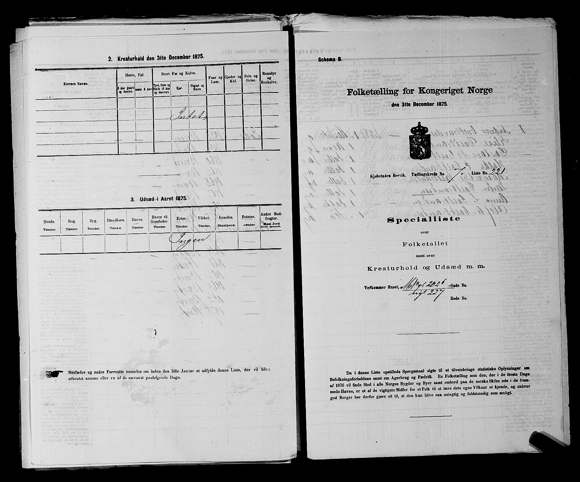 SAKO, Folketelling 1875 for 0804P Brevik prestegjeld, 1875, s. 513