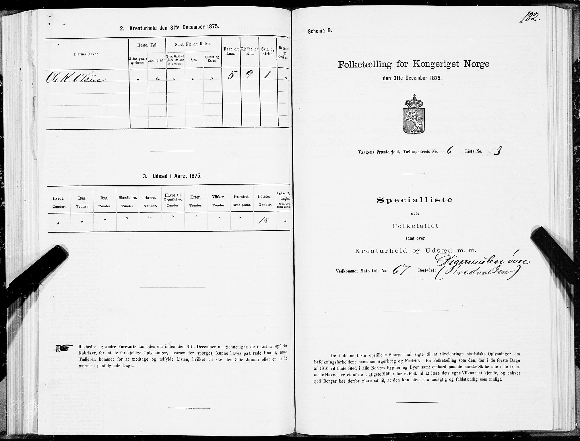 SAT, Folketelling 1875 for 1865P Vågan prestegjeld, 1875, s. 4182