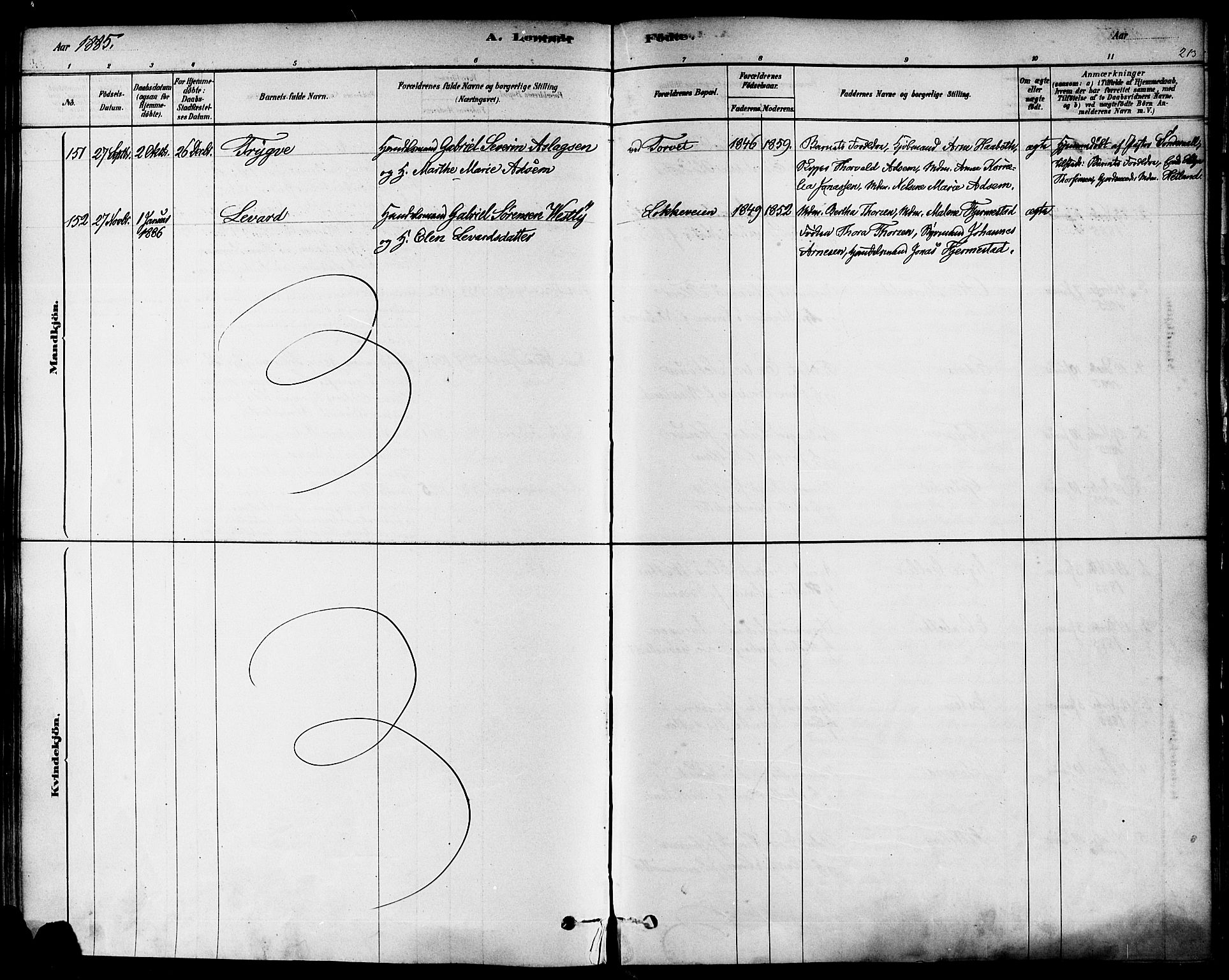 Domkirken sokneprestkontor, SAST/A-101812/001/30/30BA/L0026: Ministerialbok nr. A 25, 1878-1889, s. 213