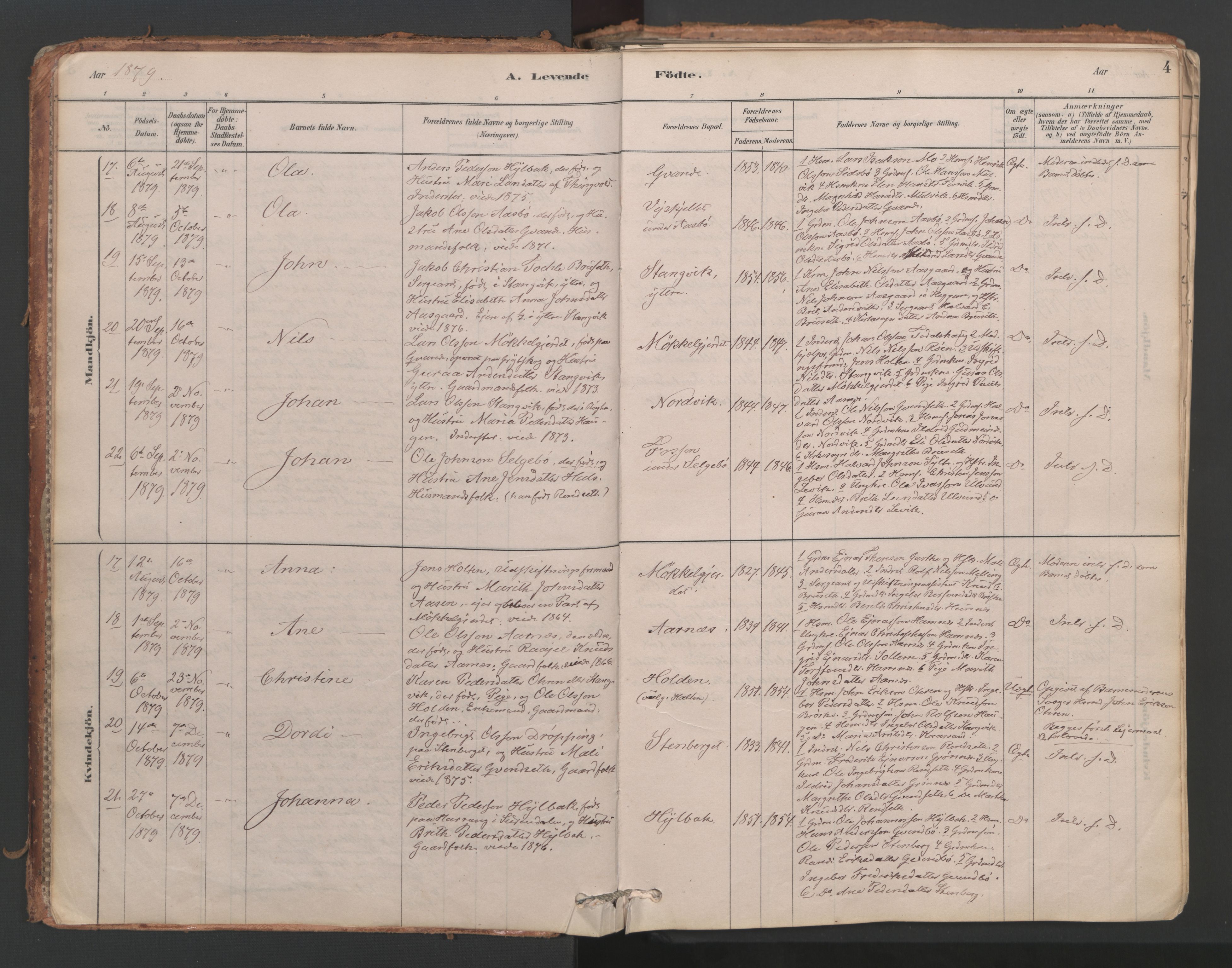 Ministerialprotokoller, klokkerbøker og fødselsregistre - Møre og Romsdal, AV/SAT-A-1454/592/L1029: Ministerialbok nr. 592A07, 1879-1902, s. 4