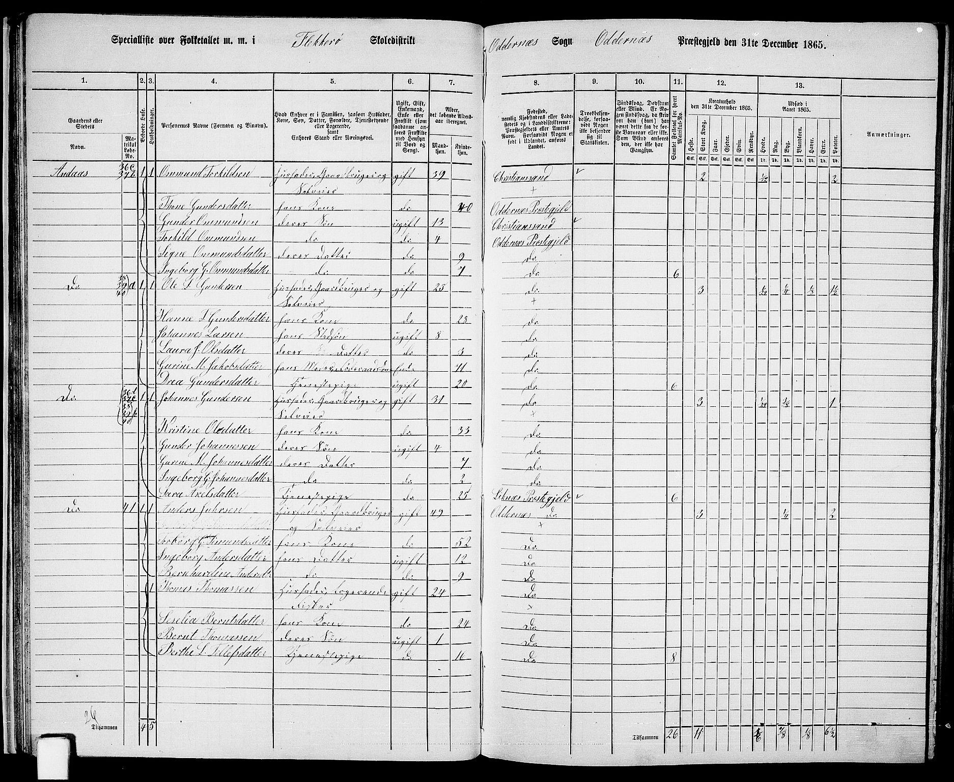 RA, Folketelling 1865 for 1012P Oddernes prestegjeld, 1865, s. 34