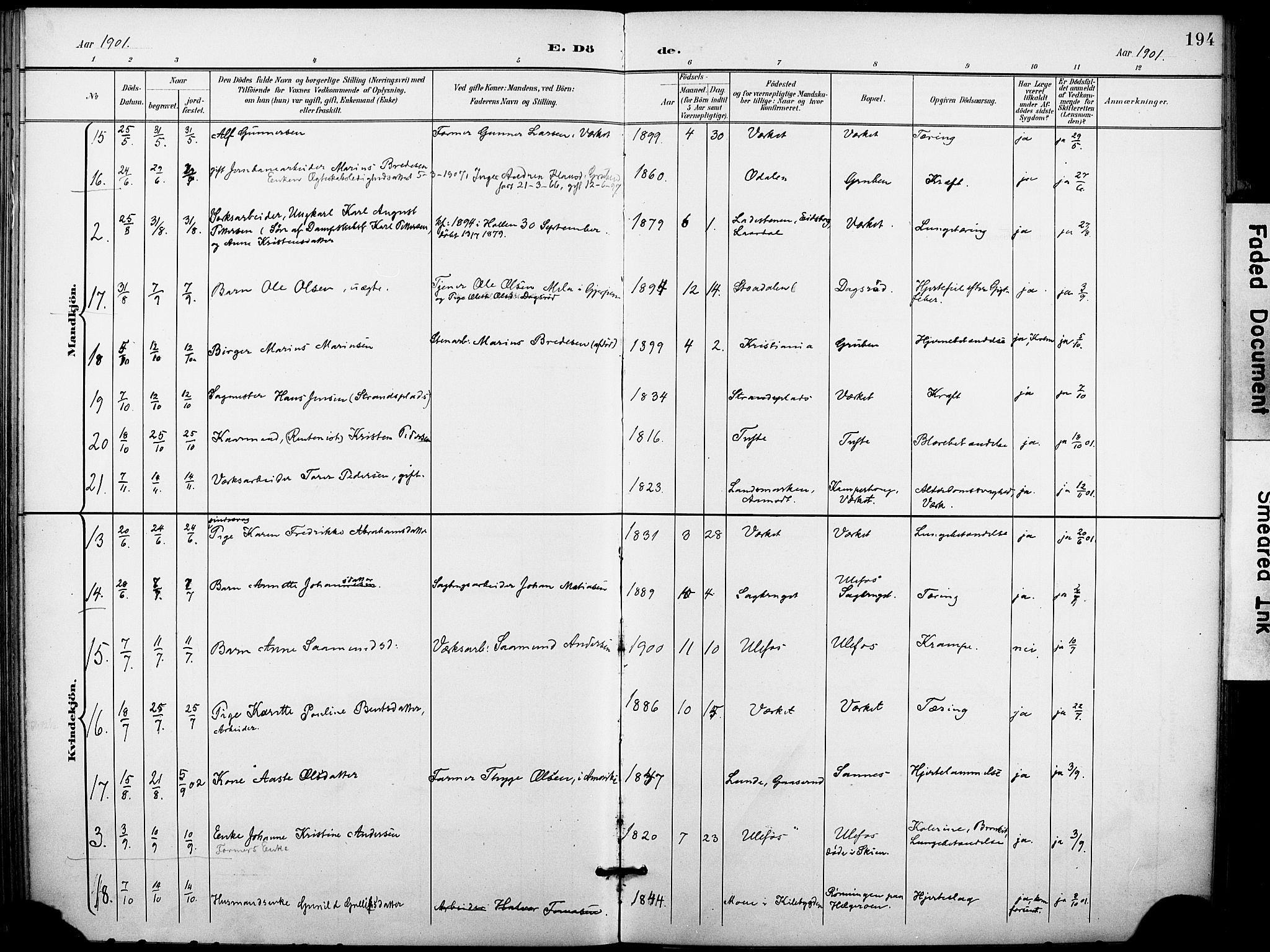Holla kirkebøker, AV/SAKO-A-272/F/Fa/L0010: Ministerialbok nr. 10, 1897-1907, s. 194