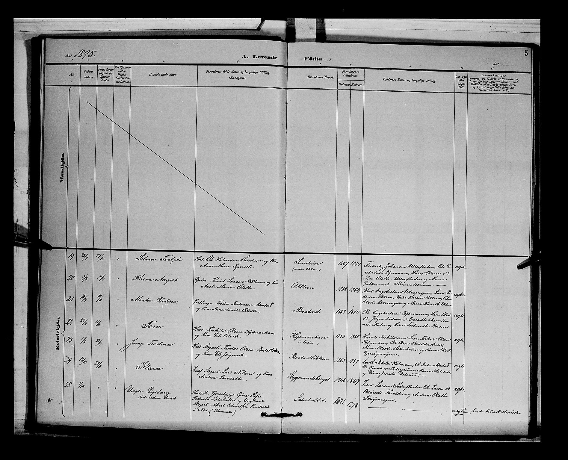 Sør-Odal prestekontor, AV/SAH-PREST-030/H/Ha/Hab/L0004: Klokkerbok nr. 4, 1895-1906, s. 5