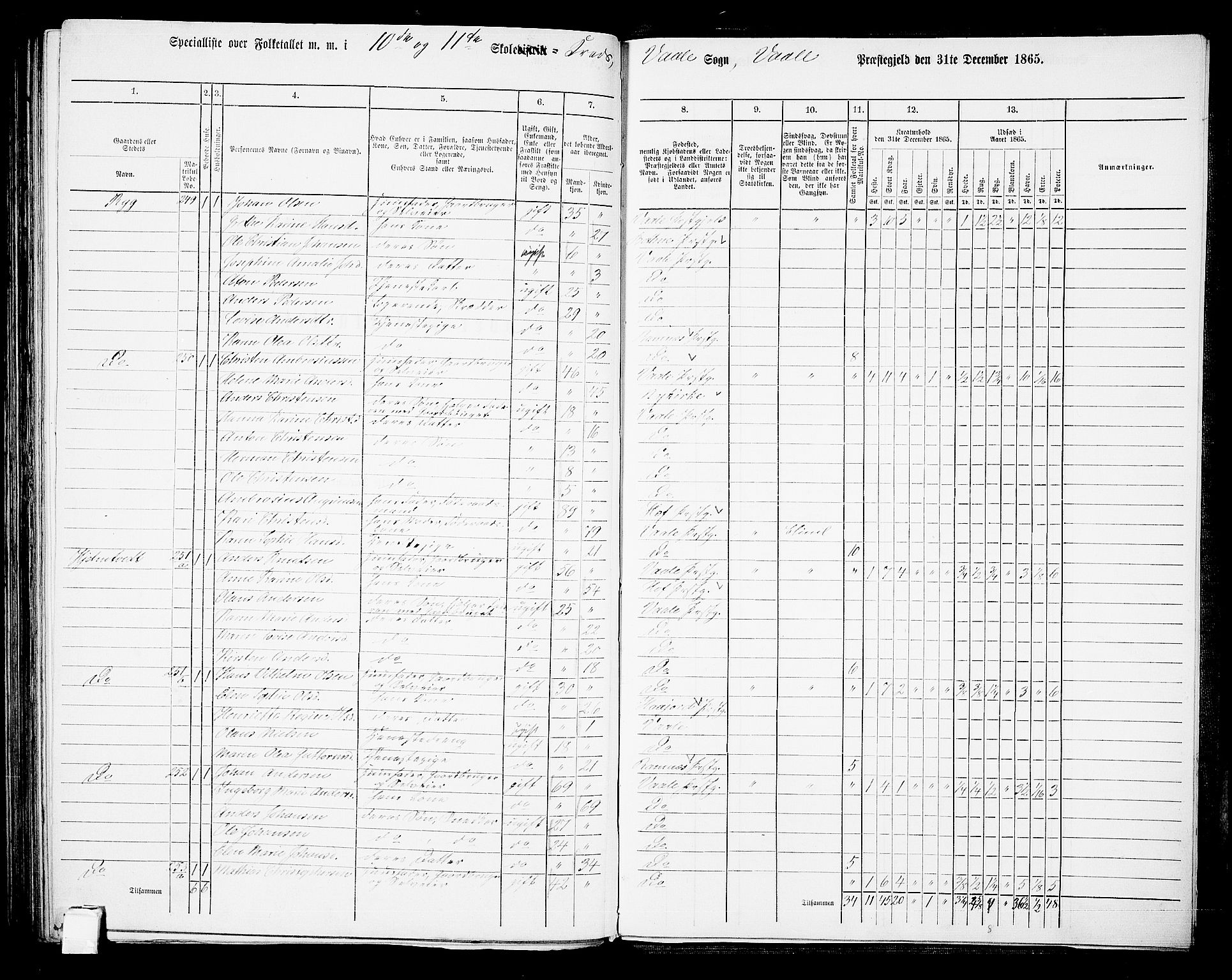 RA, Folketelling 1865 for 0716P Våle prestegjeld, 1865, s. 88