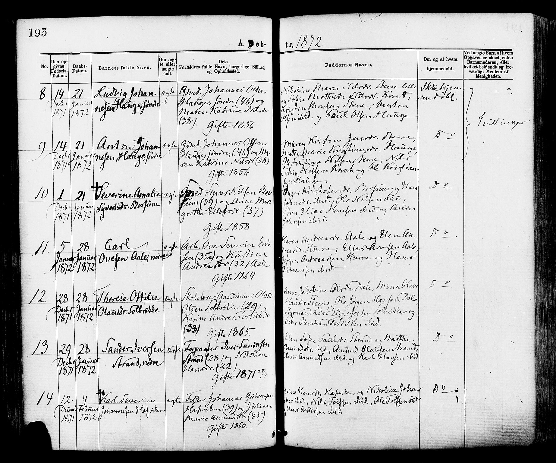 Onsøy prestekontor Kirkebøker, AV/SAO-A-10914/F/Fa/L0004: Ministerialbok nr. I 4, 1861-1877, s. 193