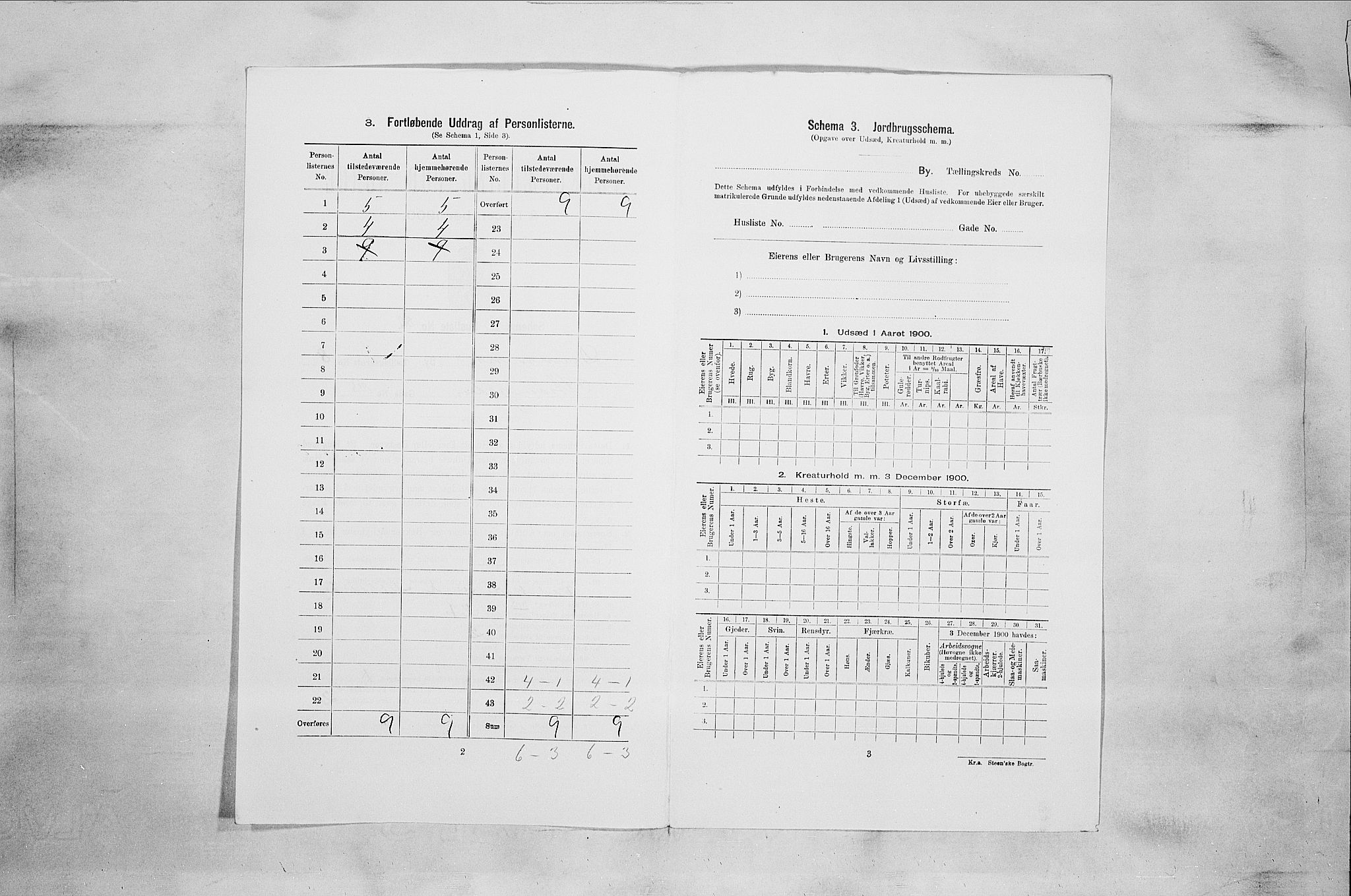 RA, Folketelling 1900 for 0602 Drammen kjøpstad, 1900, s. 1613