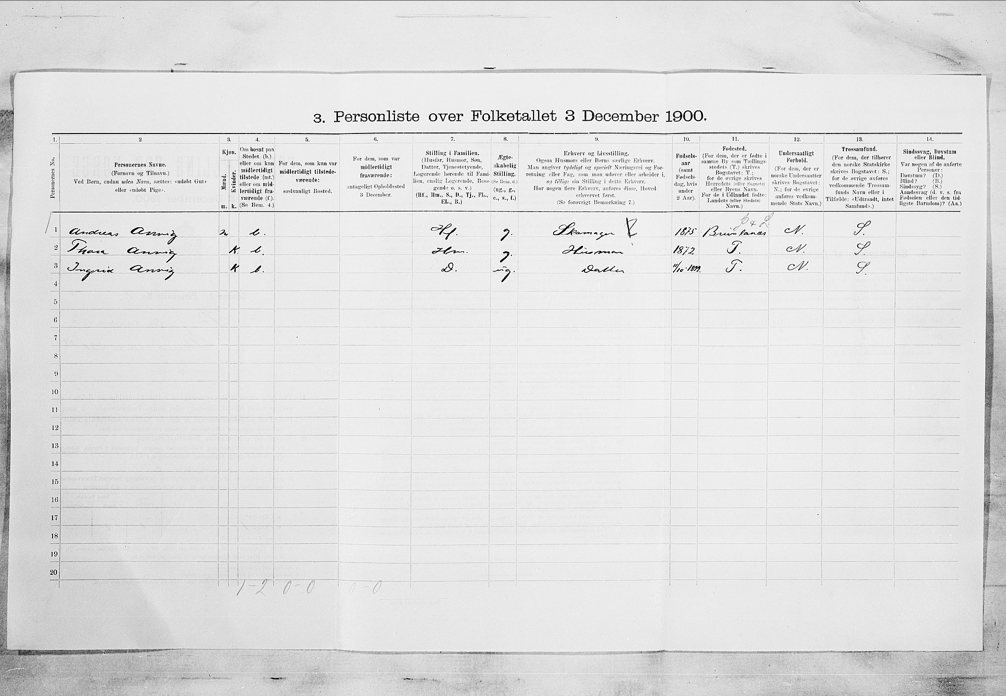 SAKO, Folketelling 1900 for 0805 Porsgrunn kjøpstad, 1900, s. 229