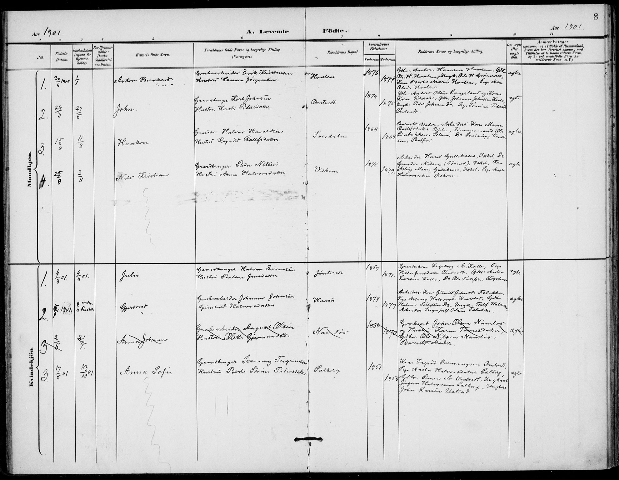 Holla kirkebøker, AV/SAKO-A-272/F/Fa/L0011: Ministerialbok nr. 11, 1897-1928, s. 8