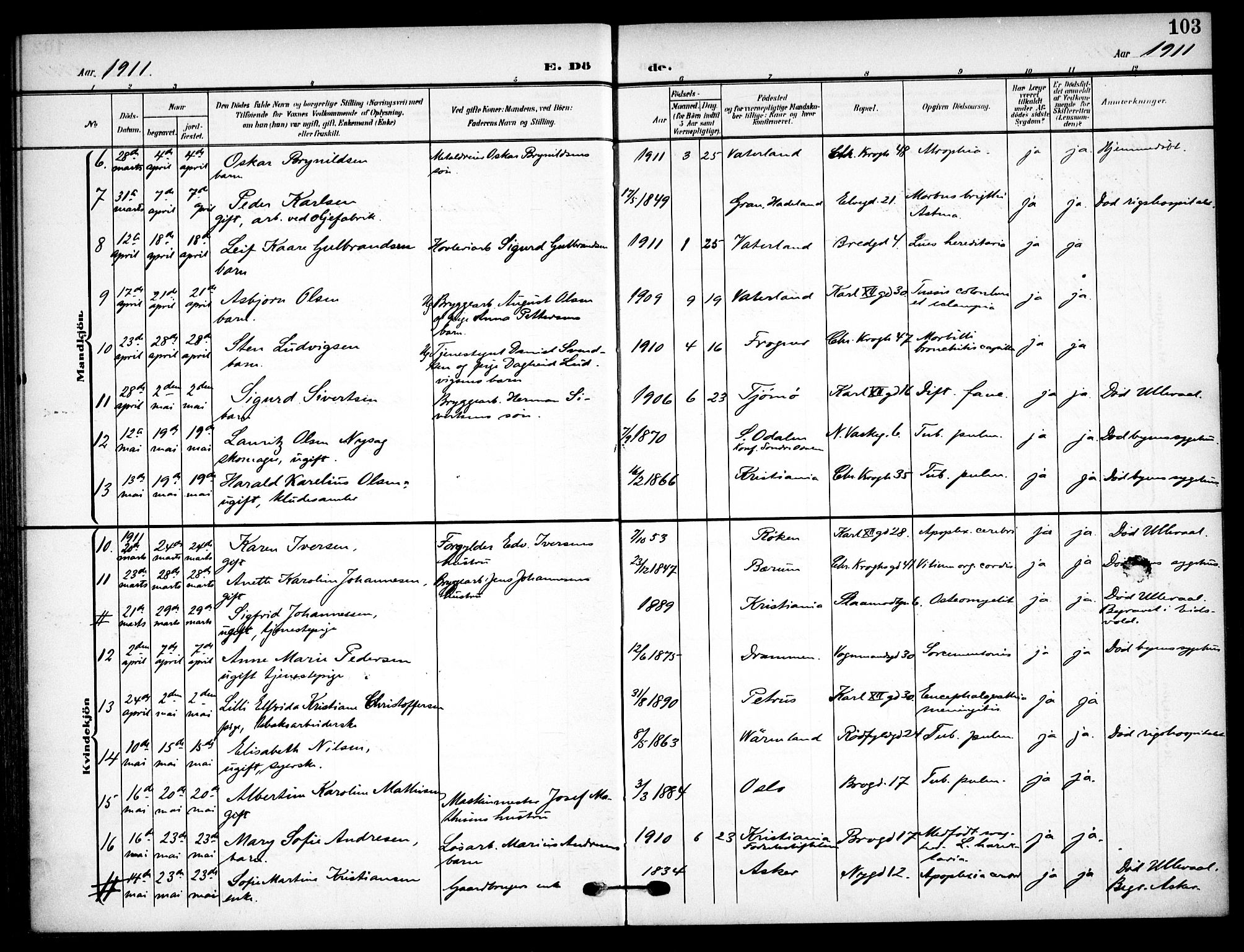 Vaterland prestekontor Kirkebøker, AV/SAO-A-10880/F/Fa/L0002: Ministerialbok nr. 2, 1907-1921, s. 103