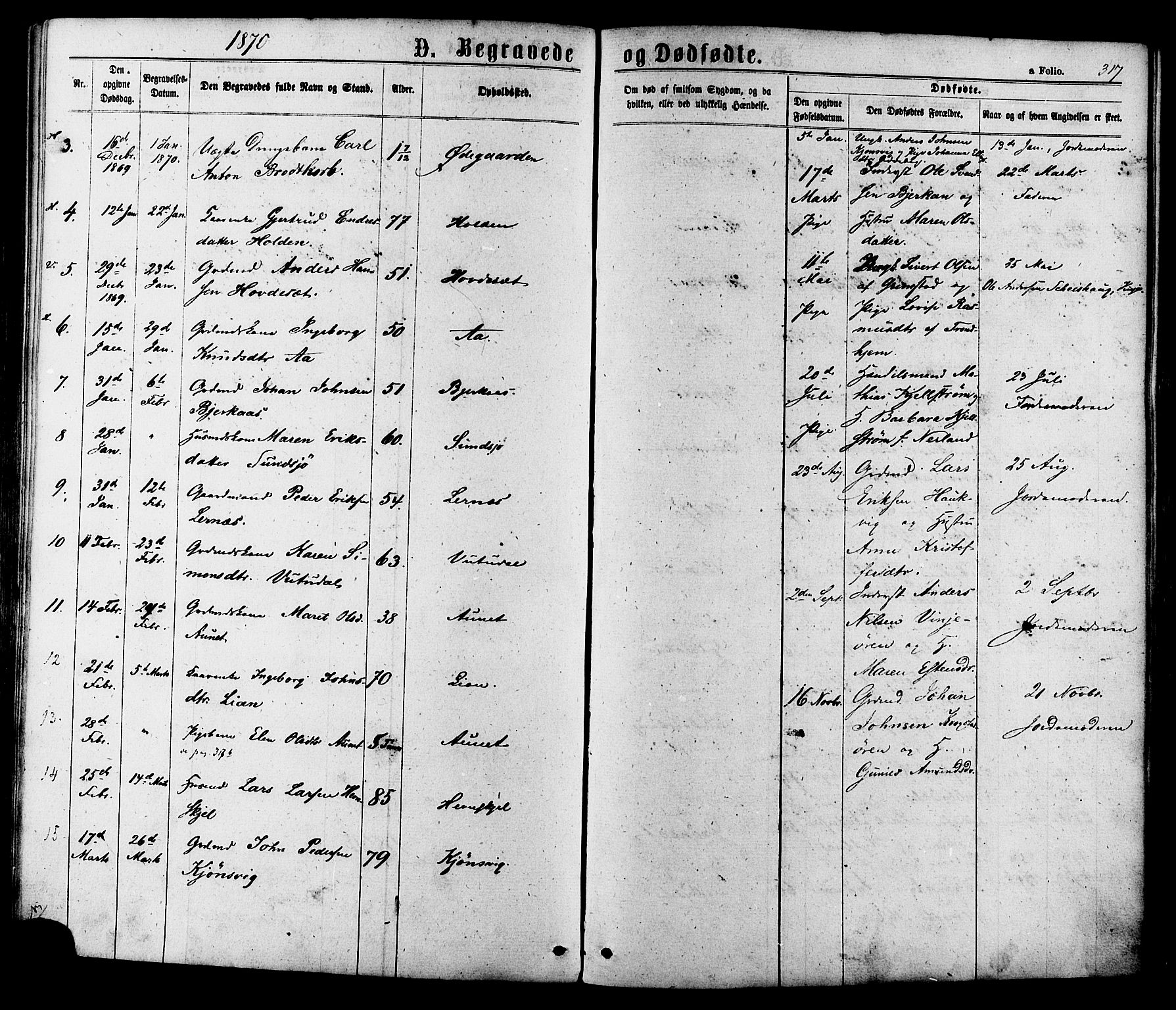 Ministerialprotokoller, klokkerbøker og fødselsregistre - Sør-Trøndelag, SAT/A-1456/630/L0495: Ministerialbok nr. 630A08, 1868-1878, s. 317
