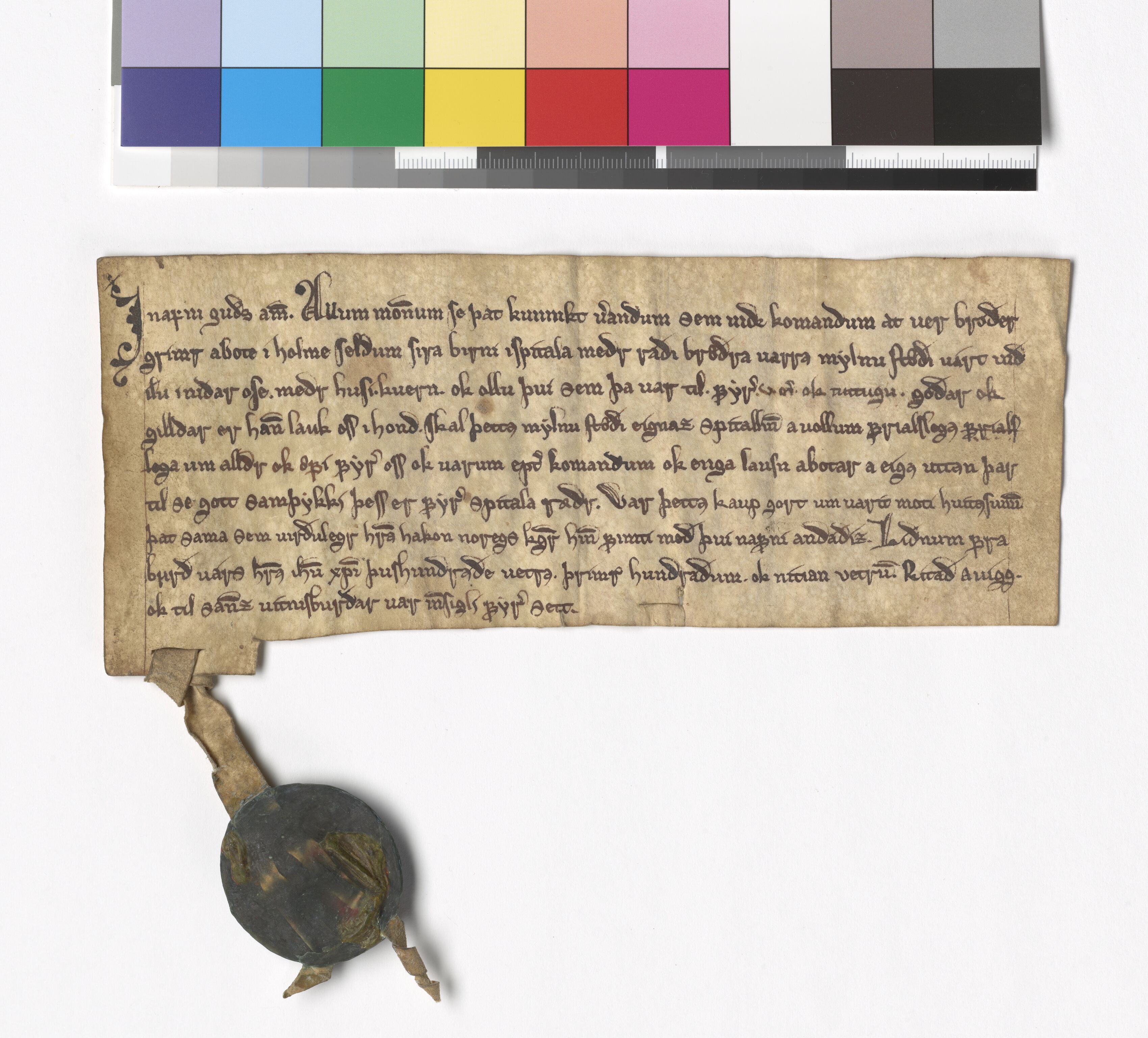 Riksarkivets diplomsamling, AV/RA-EA-5965/F05/L0028: NRA AM fasc. 8 nr. 1a-6, 1315-1324, s. 13