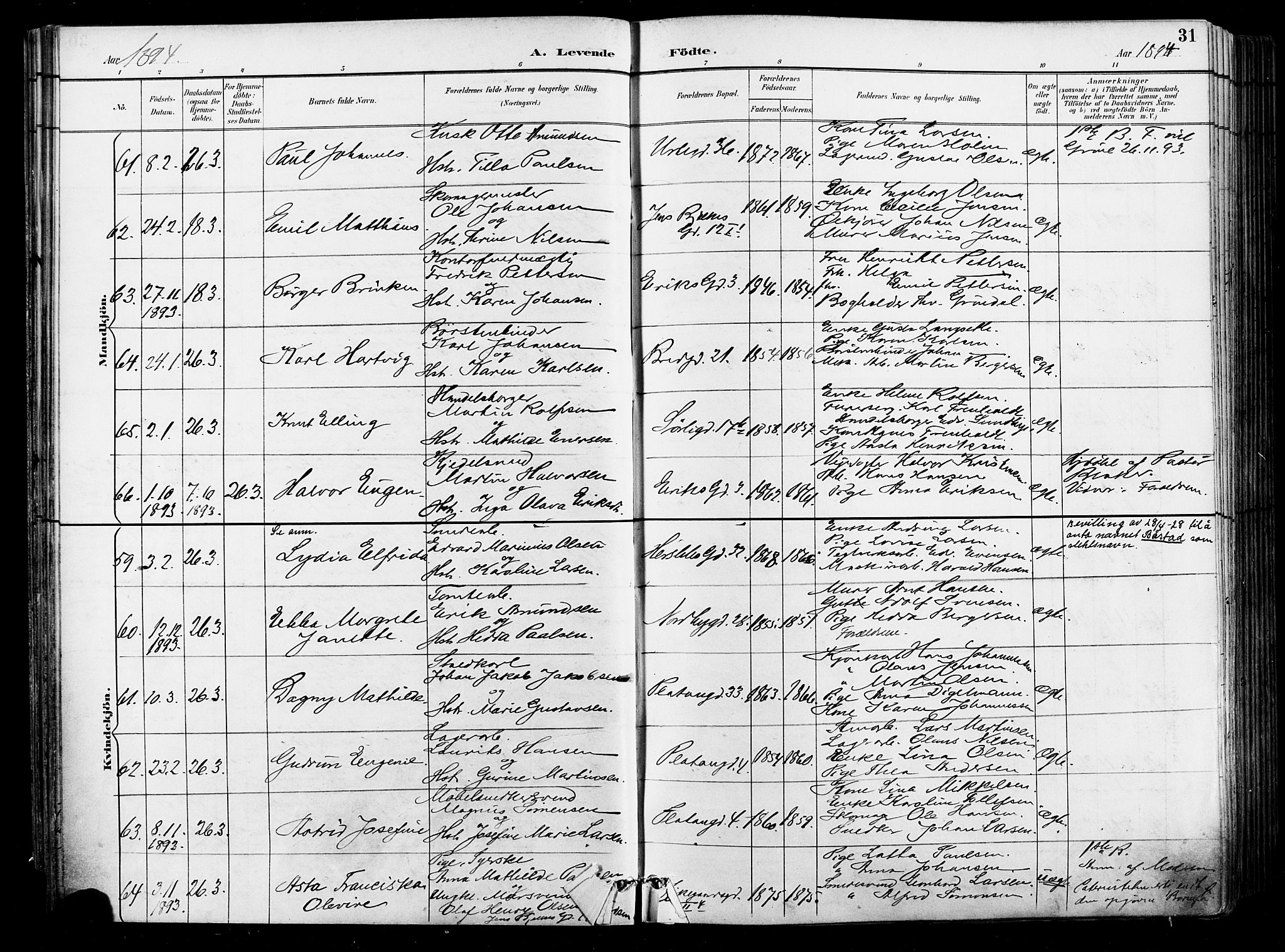 Grønland prestekontor Kirkebøker, AV/SAO-A-10848/F/Fa/L0012: Ministerialbok nr. 12, 1893-1900, s. 31