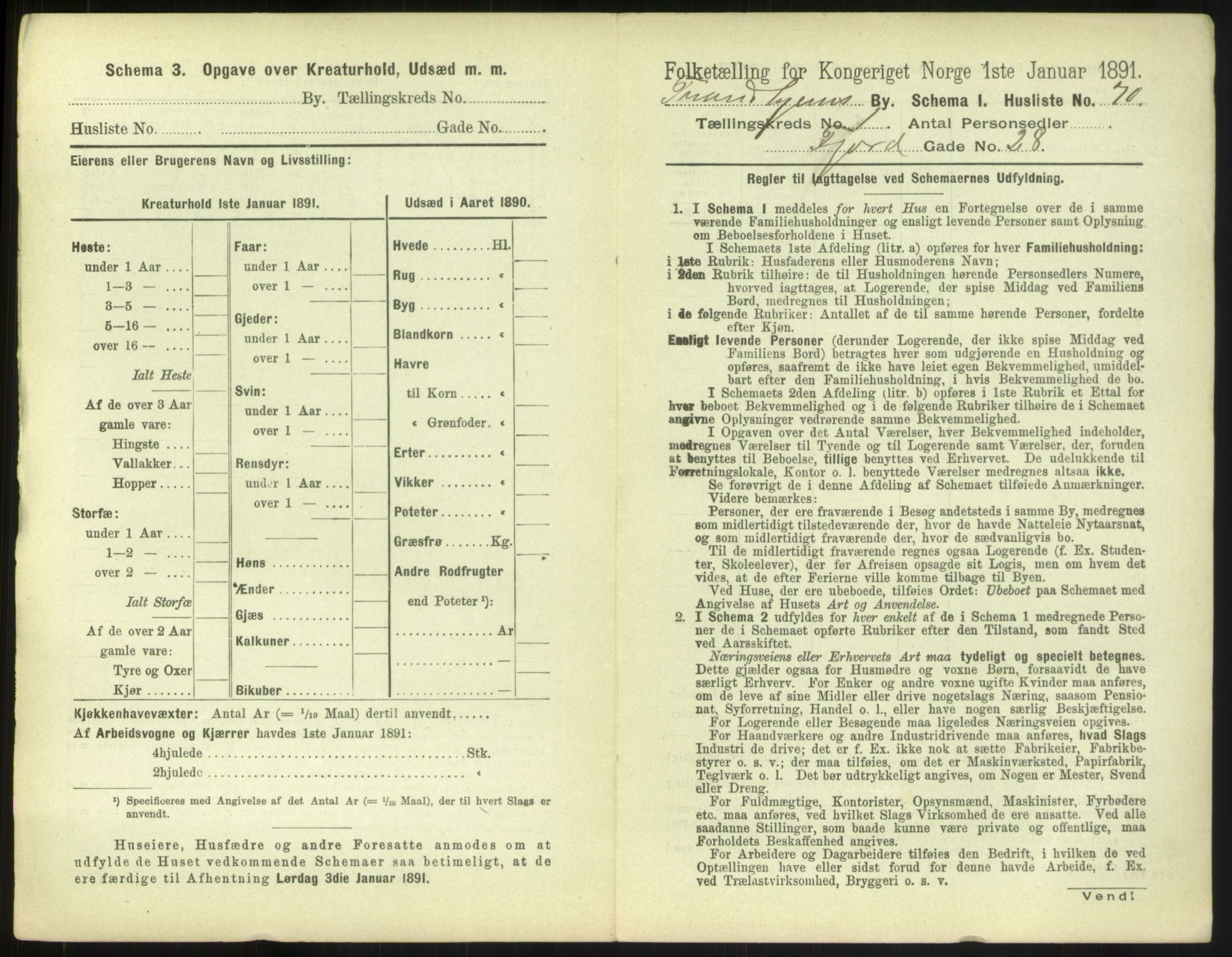 RA, Folketelling 1891 for 1601 Trondheim kjøpstad, 1891, s. 228