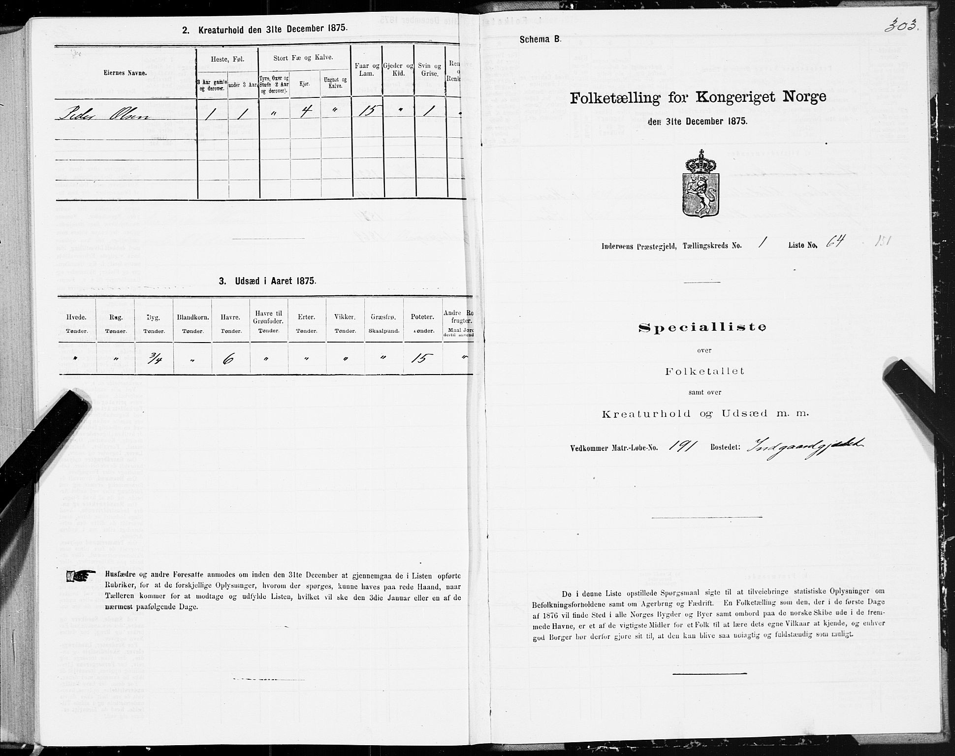 SAT, Folketelling 1875 for 1729P Inderøy prestegjeld, 1875, s. 1303