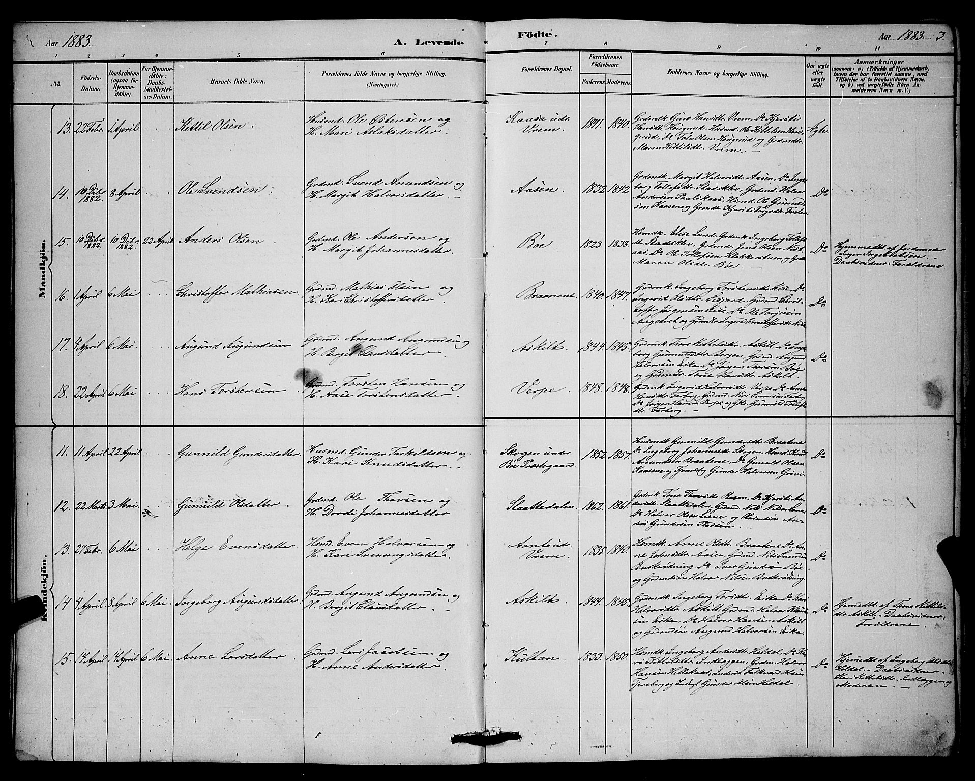 Bø kirkebøker, AV/SAKO-A-257/G/Ga/L0005: Klokkerbok nr. 5, 1883-1897, s. 3