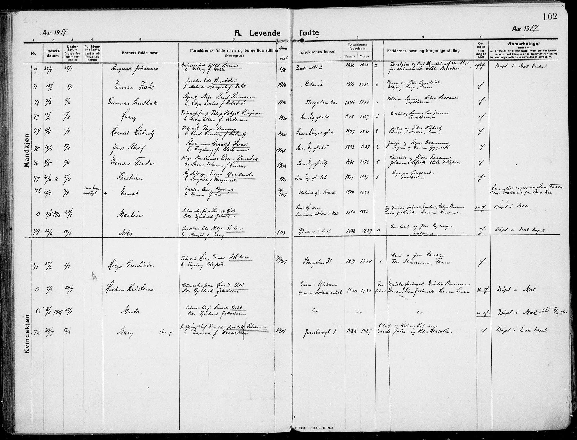 Rjukan kirkebøker, AV/SAKO-A-294/F/Fa/L0002: Ministerialbok nr. 2, 1912-1917, s. 102