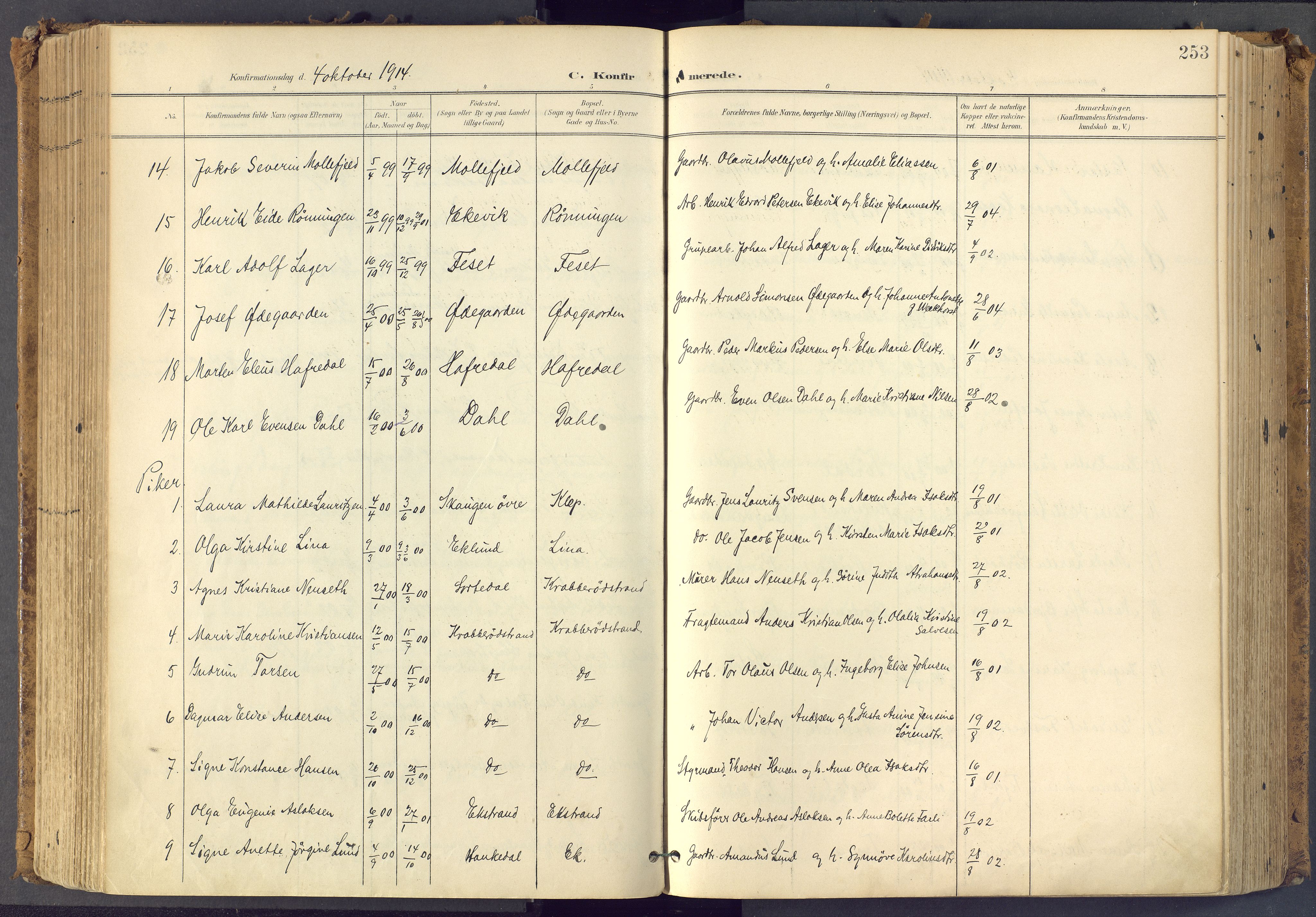 Bamble kirkebøker, SAKO/A-253/F/Fa/L0009: Ministerialbok nr. I 9, 1901-1917, s. 253