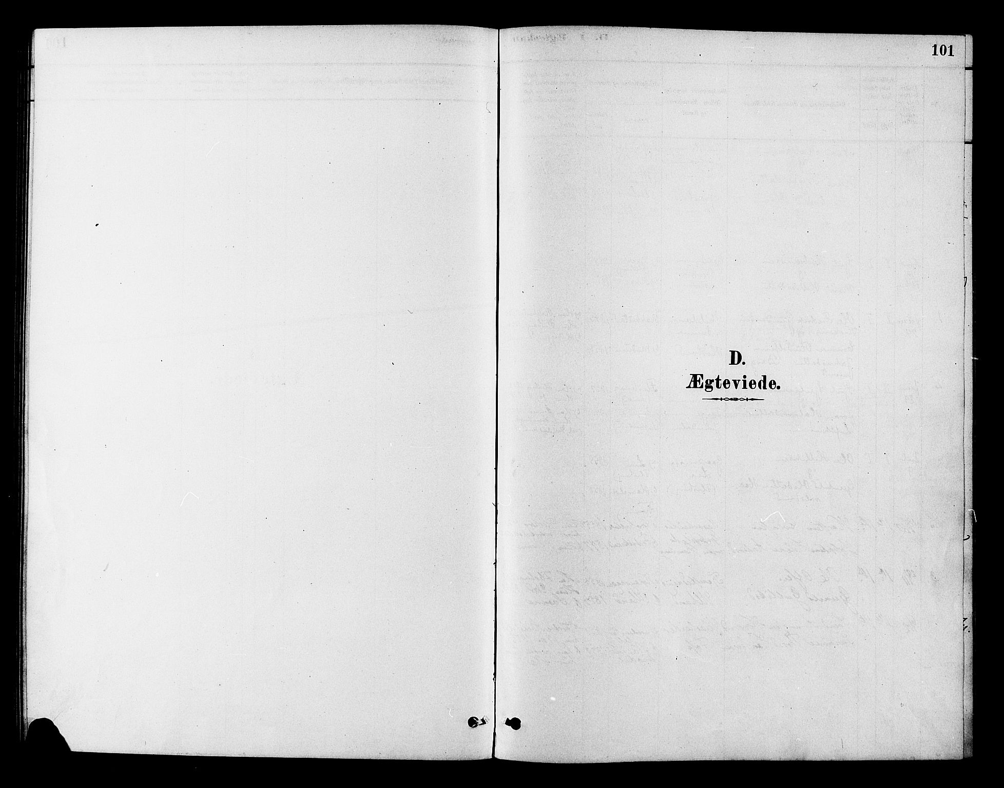 Flesberg kirkebøker, AV/SAKO-A-18/F/Fb/L0001: Ministerialbok nr. II 1, 1879-1907, s. 101
