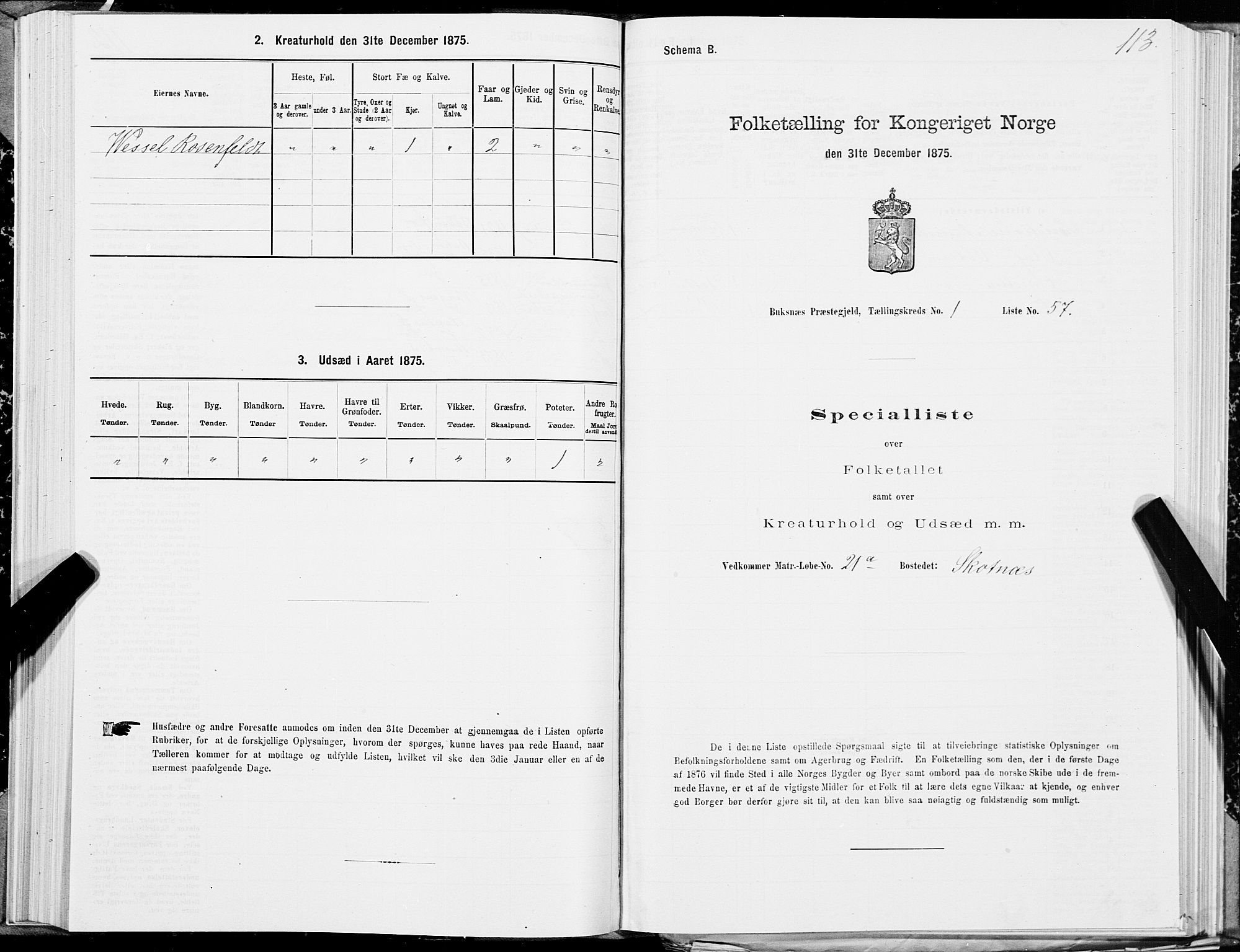 SAT, Folketelling 1875 for 1860P Buksnes prestegjeld, 1875, s. 1113