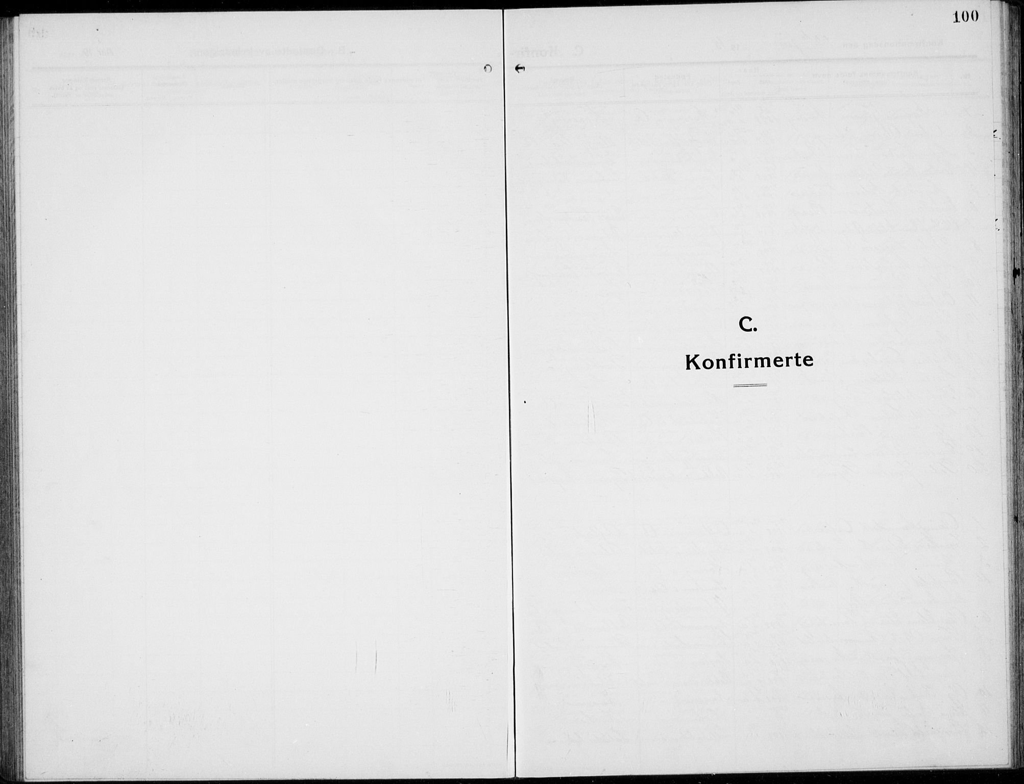 Tolga prestekontor, AV/SAH-PREST-062/L/L0014: Klokkerbok nr. 14, 1913-1936, s. 100