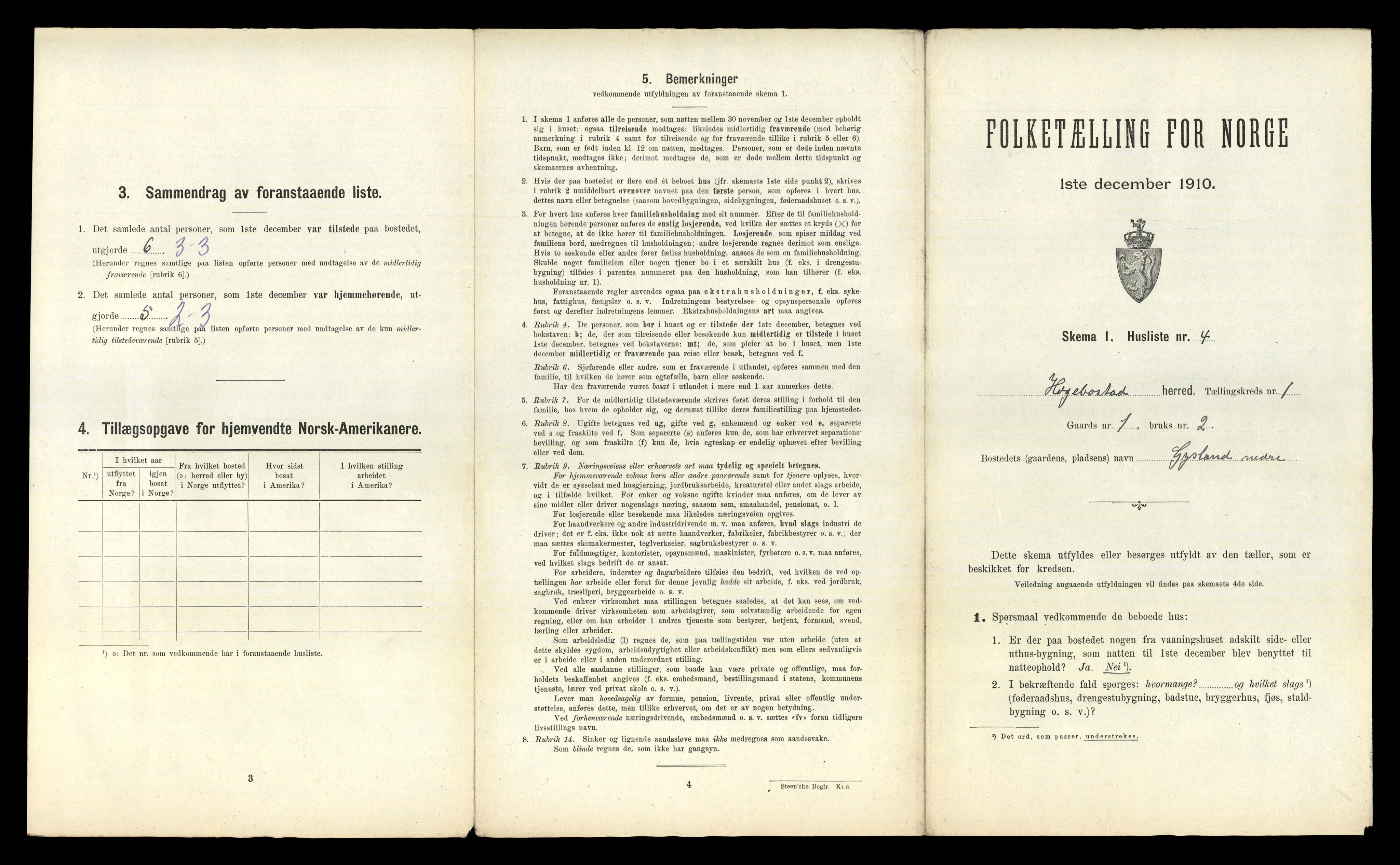 RA, Folketelling 1910 for 1034 Hægebostad herred, 1910, s. 49