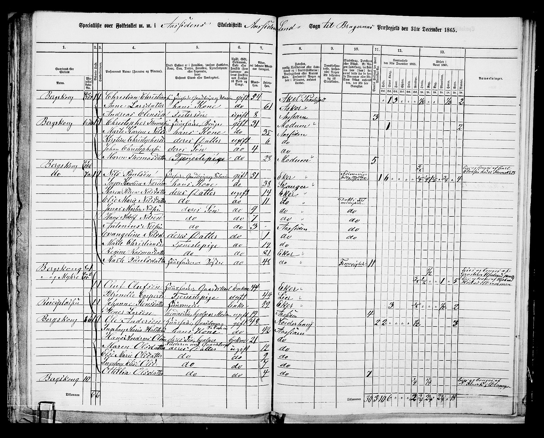 RA, Folketelling 1865 for 0691L Bragernes prestegjeld, Åssiden sokn, 1865, s. 7
