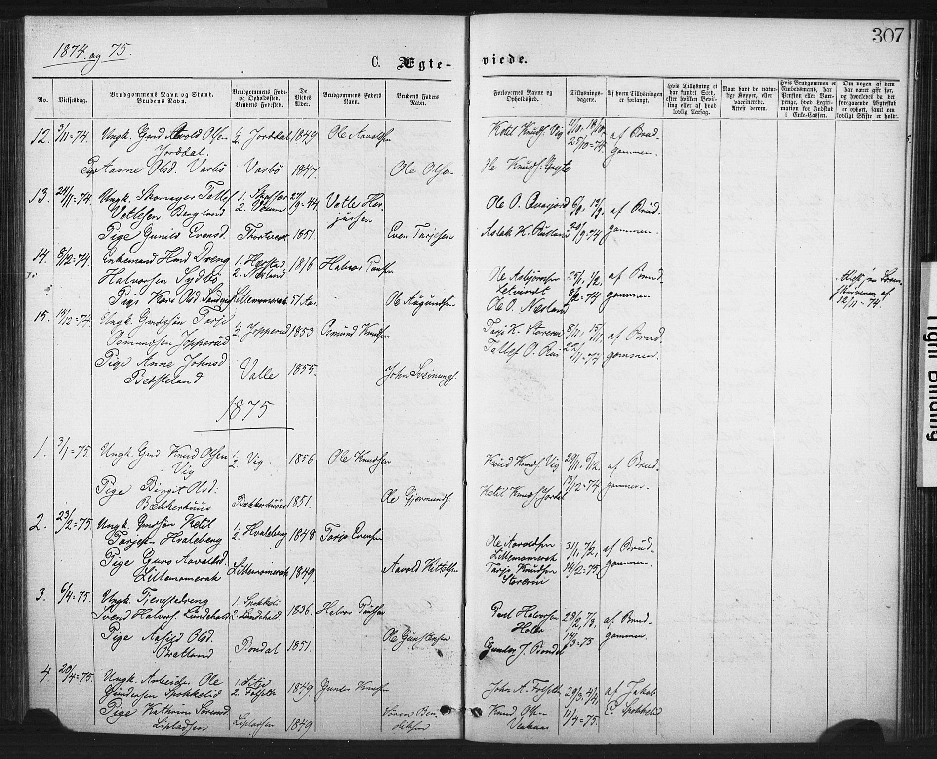 Fyresdal kirkebøker, AV/SAKO-A-263/F/Fa/L0006: Ministerialbok nr. I 6, 1872-1886, s. 307