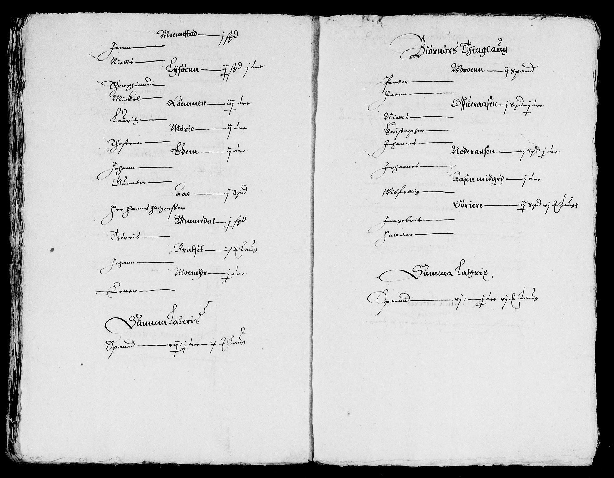 Rentekammeret inntil 1814, Reviderte regnskaper, Lensregnskaper, AV/RA-EA-5023/R/Rb/Rbw/L0019: Trondheim len, 1619-1620