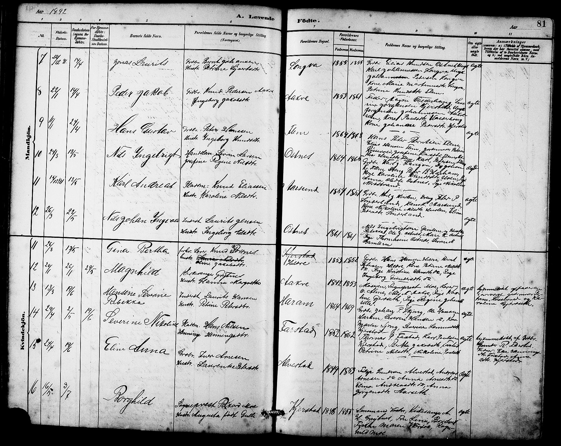 Ministerialprotokoller, klokkerbøker og fødselsregistre - Møre og Romsdal, SAT/A-1454/536/L0510: Klokkerbok nr. 536C05, 1881-1898, s. 81