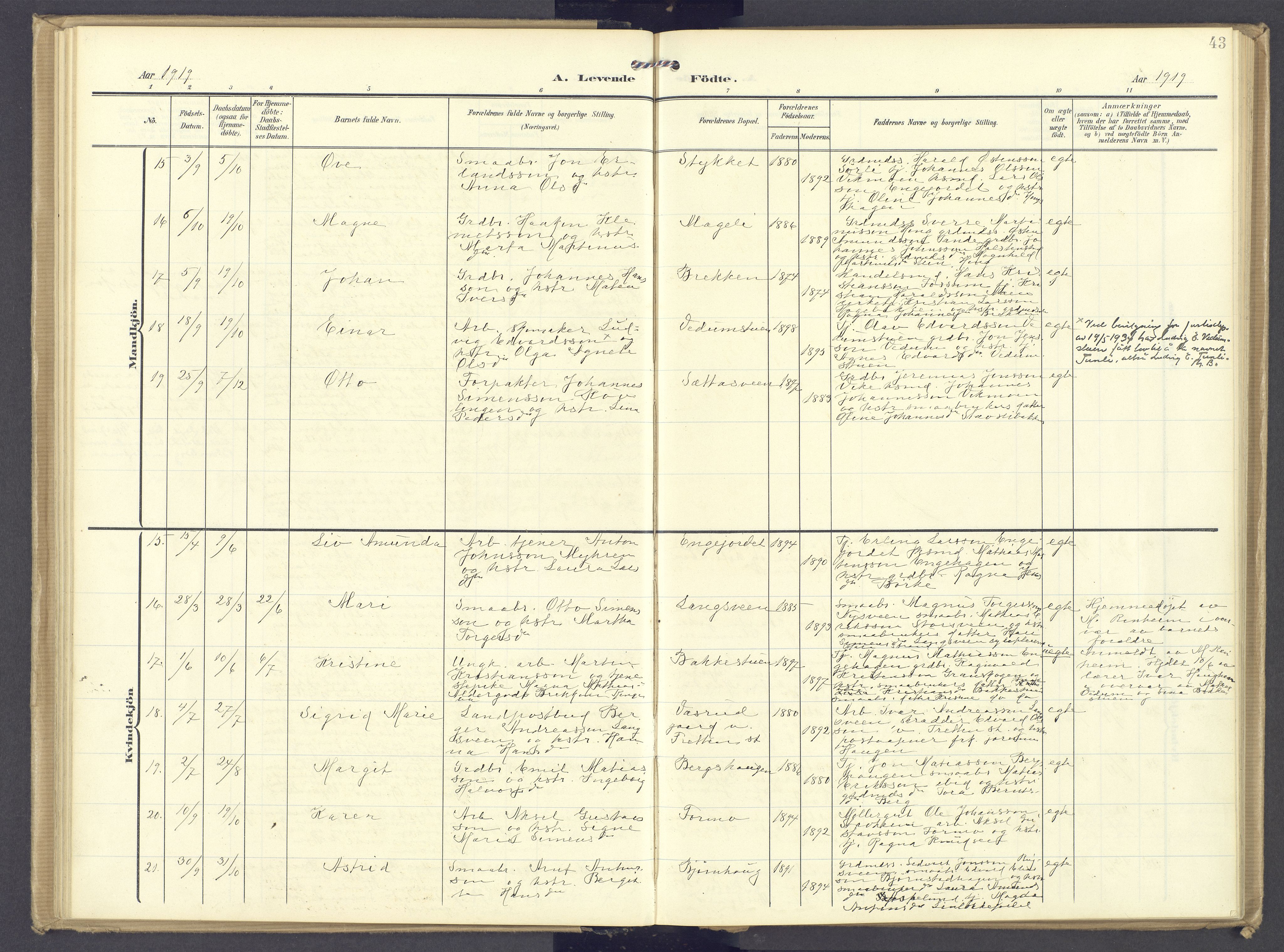 Øyer prestekontor, AV/SAH-PREST-084/H/Ha/Haa/L0013: Ministerialbok nr. 13, 1905-1920, s. 43