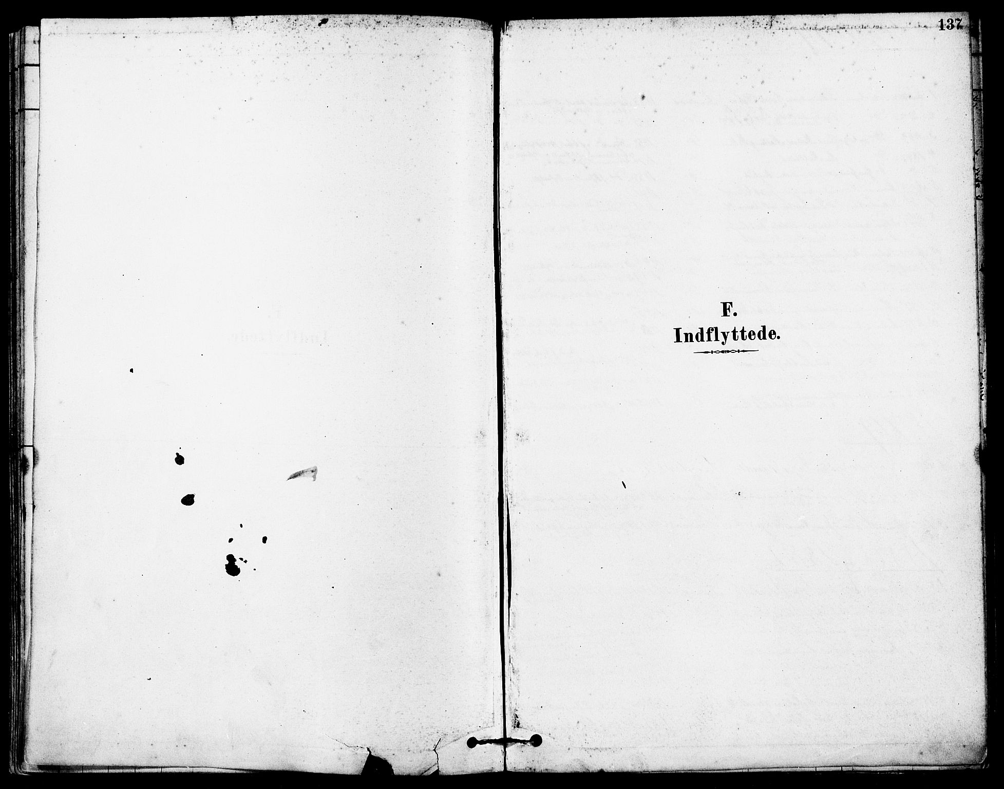 Høyland sokneprestkontor, SAST/A-101799/001/30BA/L0012: Ministerialbok nr. A 11, 1878-1889, s. 137