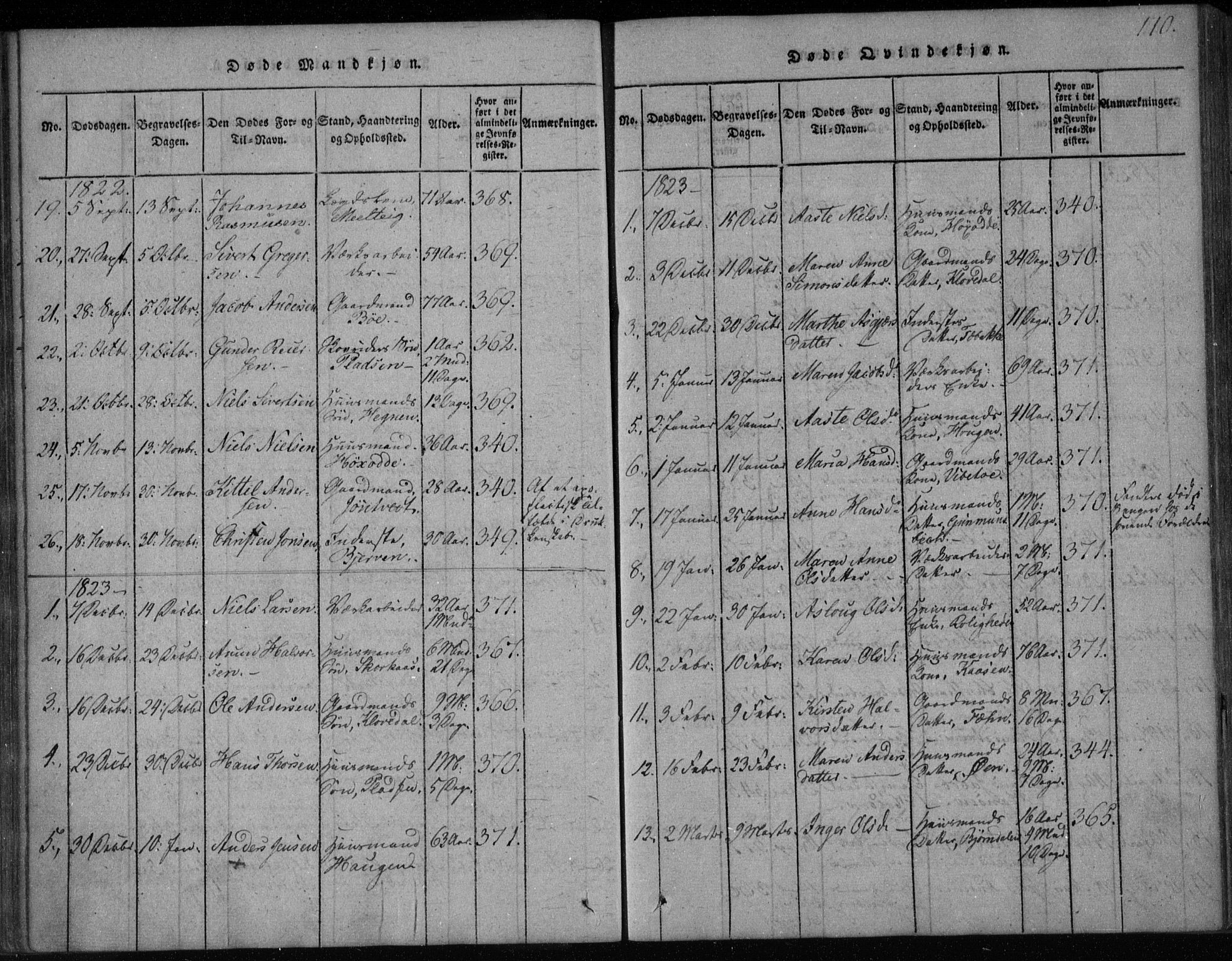 Holla kirkebøker, AV/SAKO-A-272/F/Fa/L0003: Ministerialbok nr. 3, 1815-1830, s. 110