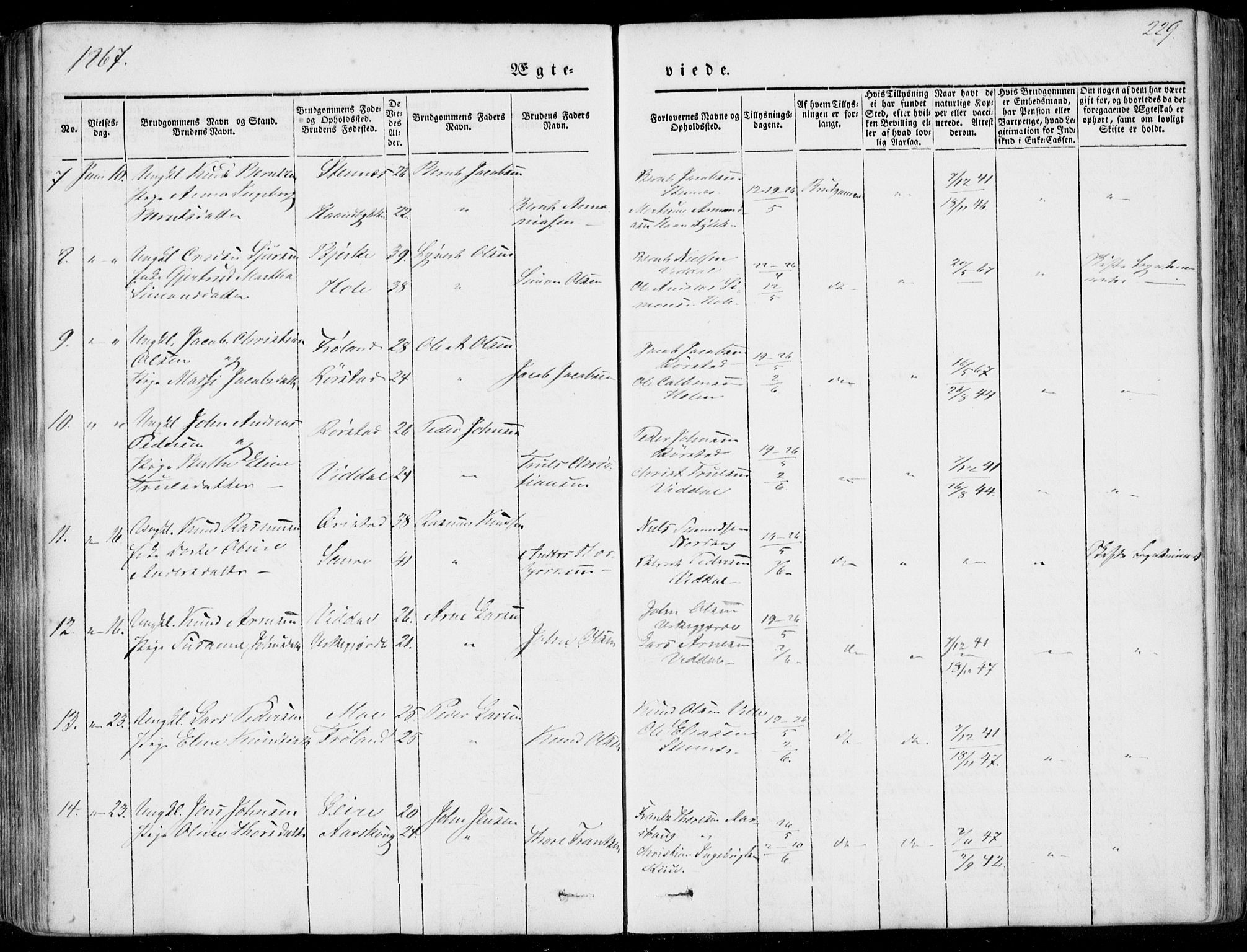 Ministerialprotokoller, klokkerbøker og fødselsregistre - Møre og Romsdal, AV/SAT-A-1454/515/L0209: Ministerialbok nr. 515A05, 1847-1868, s. 229