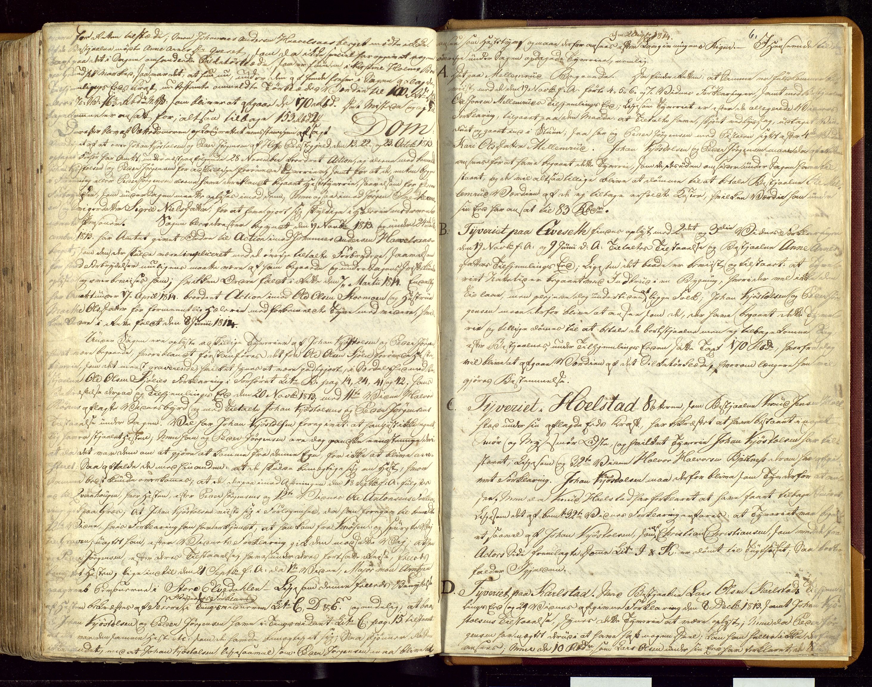 Solør og Odalen sorenskriveri, AV/SAH-TING-026/G/Gc/Gca/L0010/0002: Justis- og politisaker / 10B:, 1811-1814, s. 6