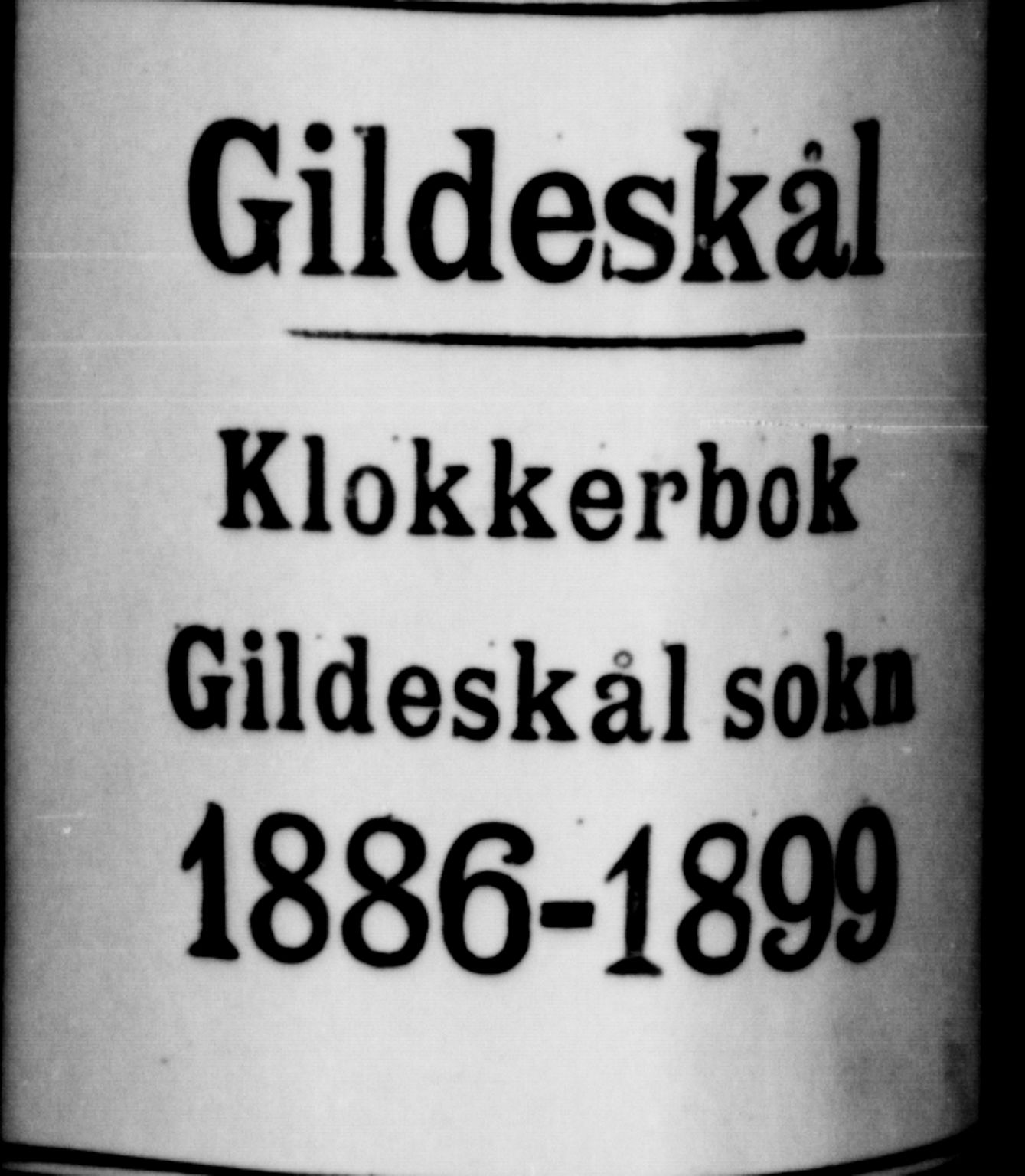 Ministerialprotokoller, klokkerbøker og fødselsregistre - Nordland, AV/SAT-A-1459/805/L0108: Klokkerbok nr. 805C04, 1885-1899