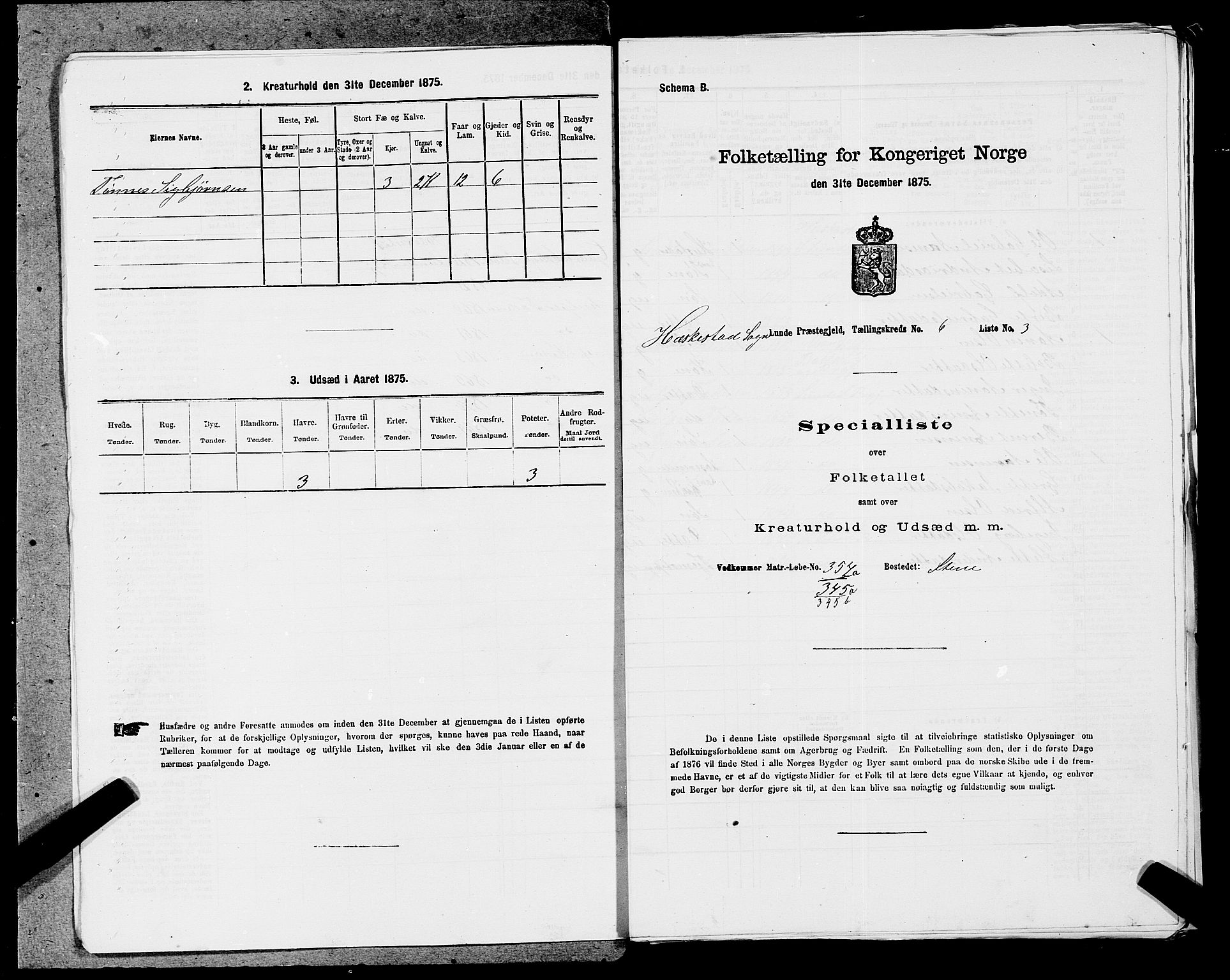 SAST, Folketelling 1875 for 1112P Lund prestegjeld, 1875, s. 905