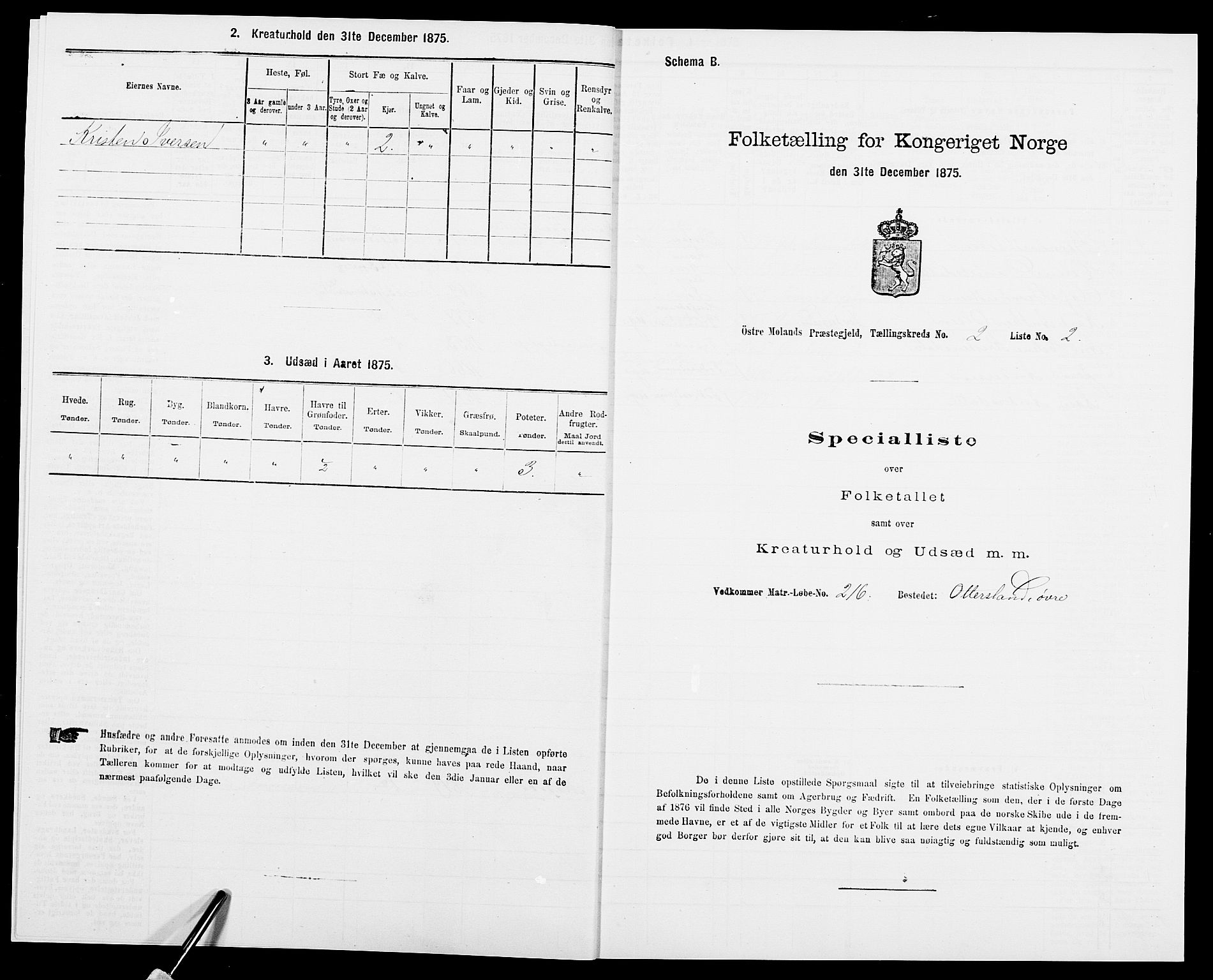 SAK, Folketelling 1875 for 0918P Austre Moland prestegjeld, 1875, s. 1100