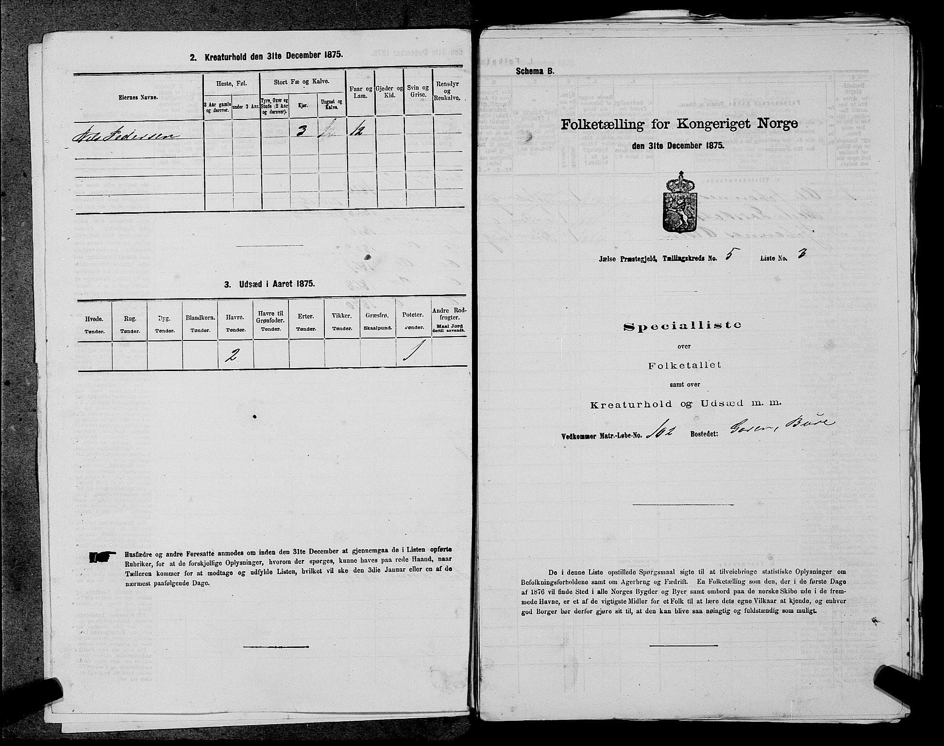 SAST, Folketelling 1875 for 1138P Jelsa prestegjeld, 1875, s. 415