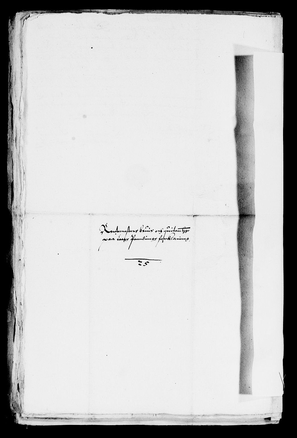 Rentekammeret inntil 1814, Reviderte regnskaper, Lensregnskaper, AV/RA-EA-5023/R/Rb/Rbq/L0011: Nedenes len. Mandals len. Råbyggelag., 1618-1620