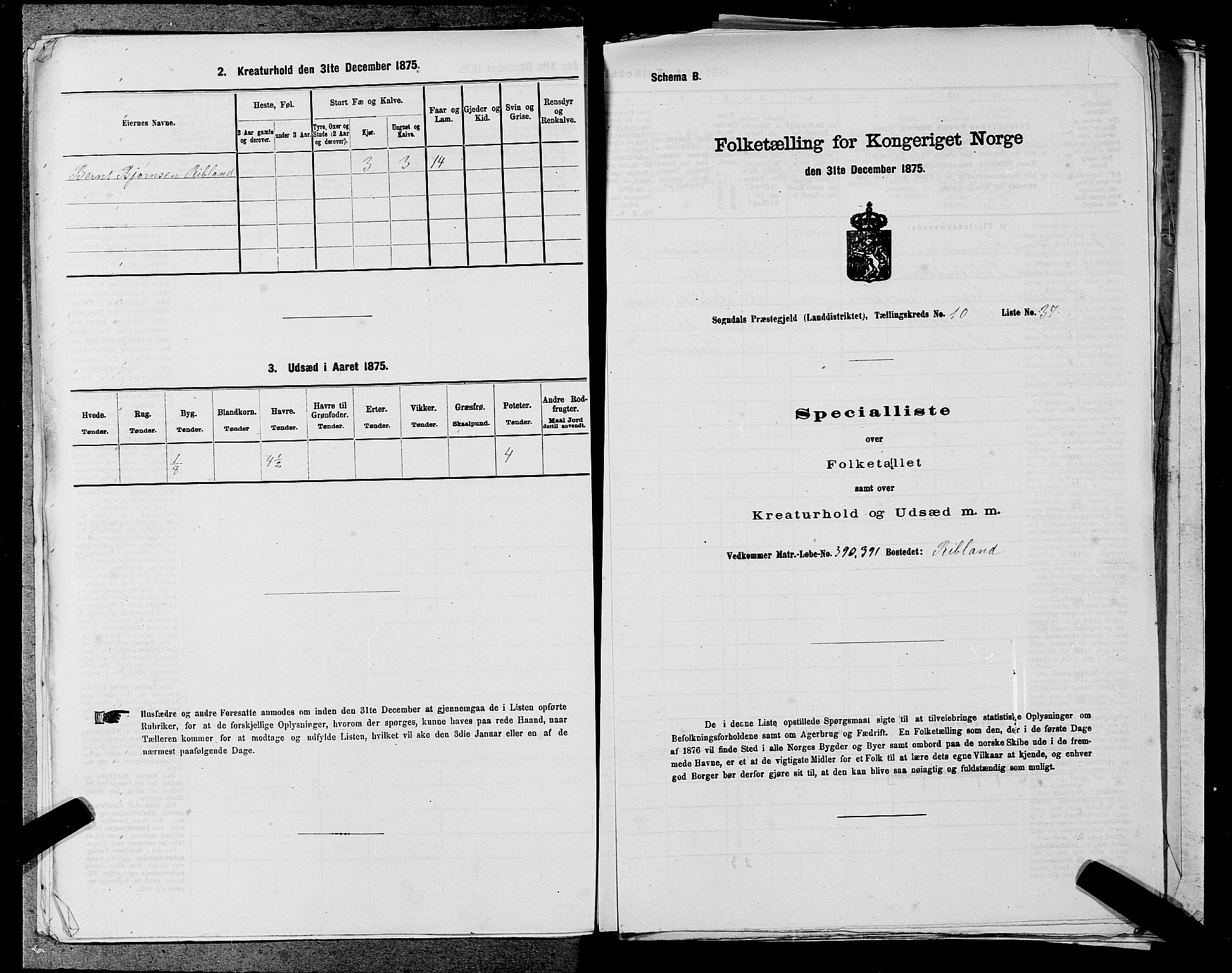 SAST, Folketelling 1875 for 1111L Sokndal prestegjeld, Sokndal landsokn, 1875, s. 1009