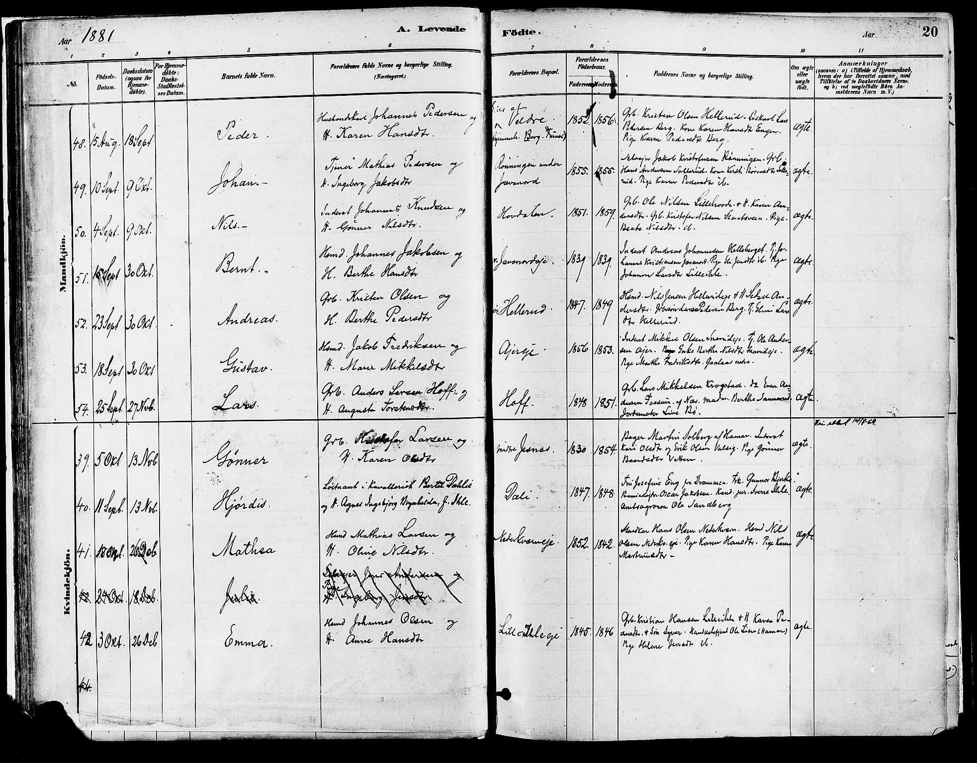 Vang prestekontor, Hedmark, AV/SAH-PREST-008/H/Ha/Haa/L0018A: Ministerialbok nr. 18A, 1880-1906, s. 20